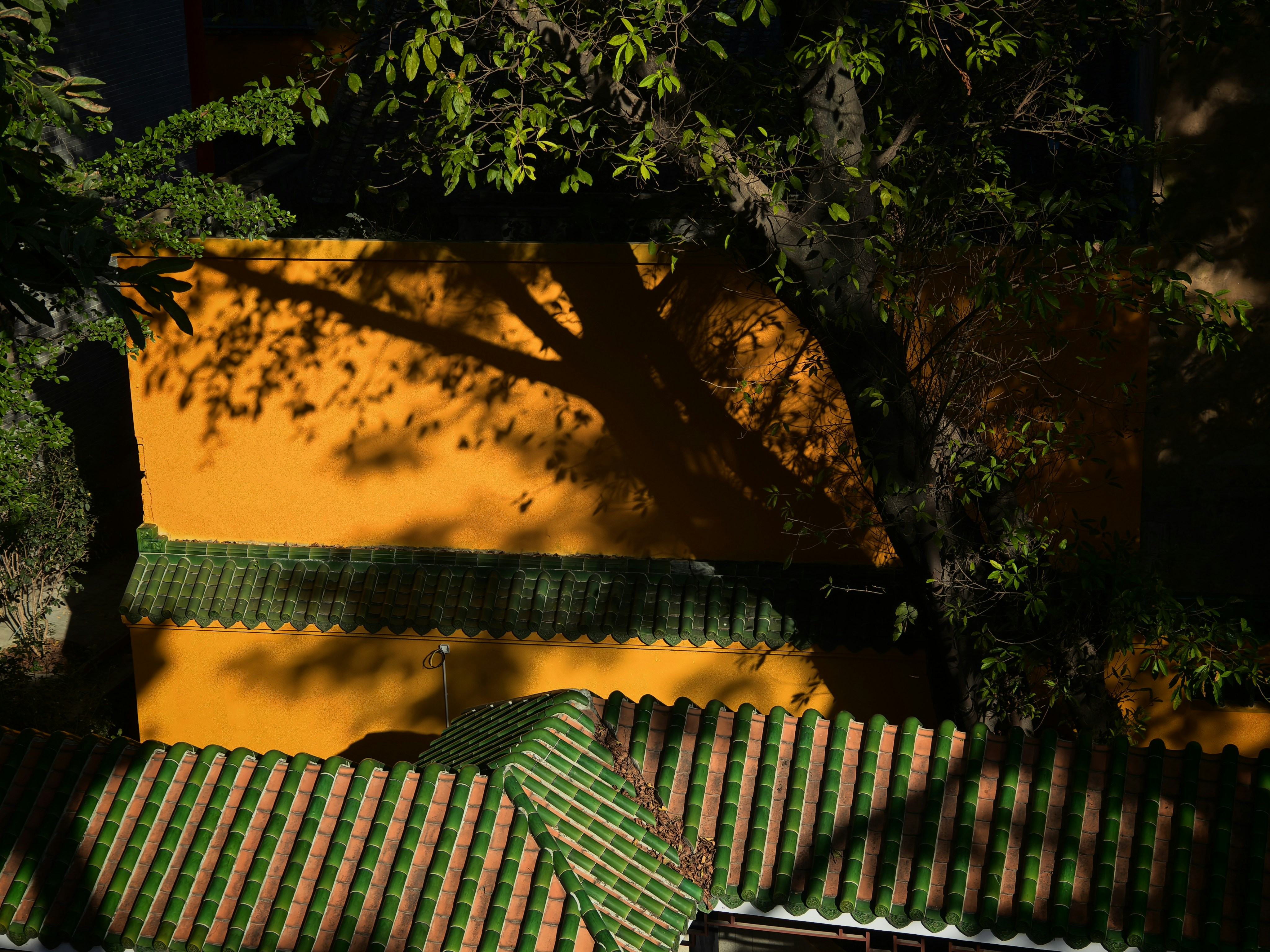 Praça Maria Erlinda Duckur Cassab