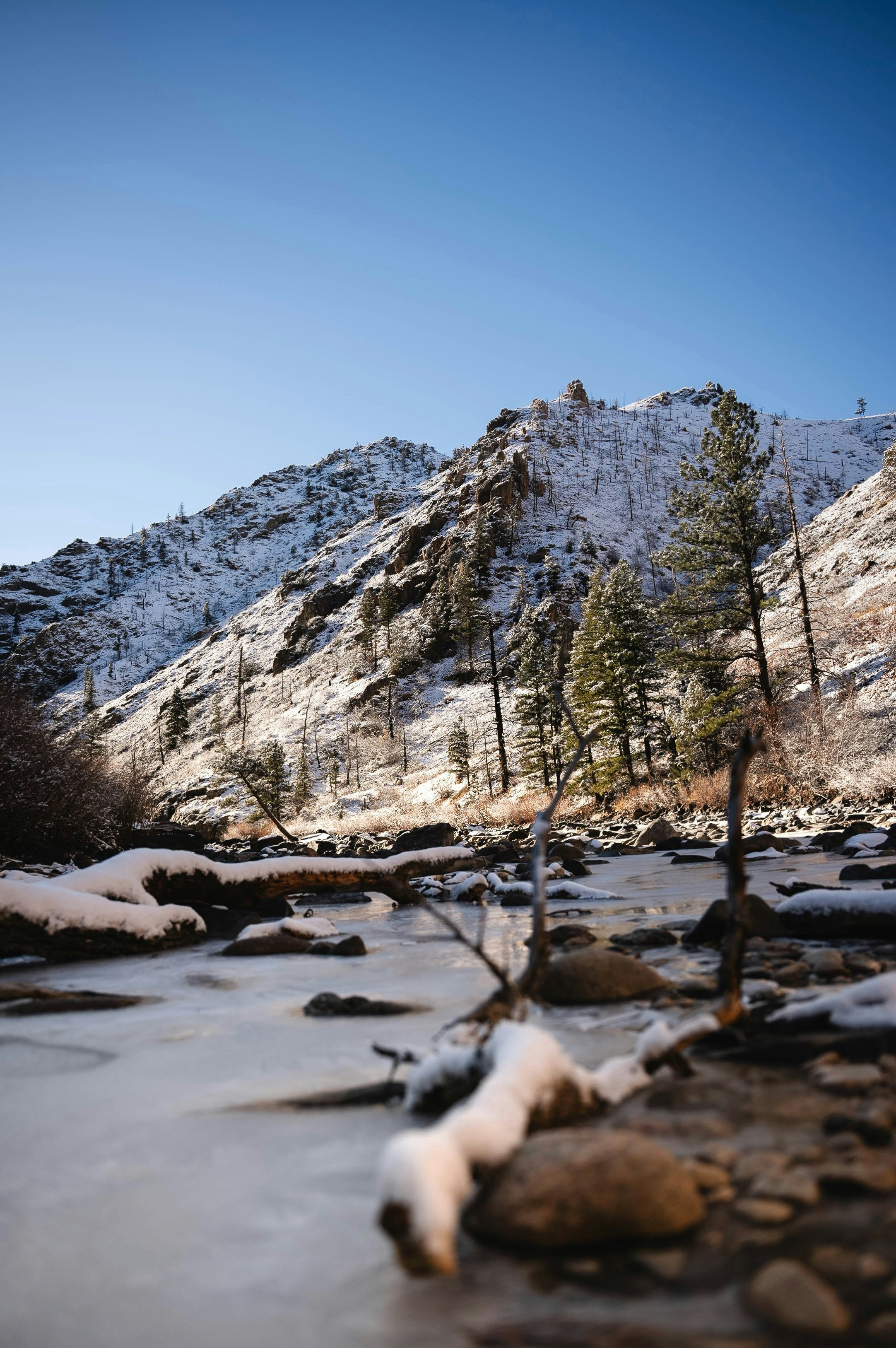 A river running through a forest covered in snow