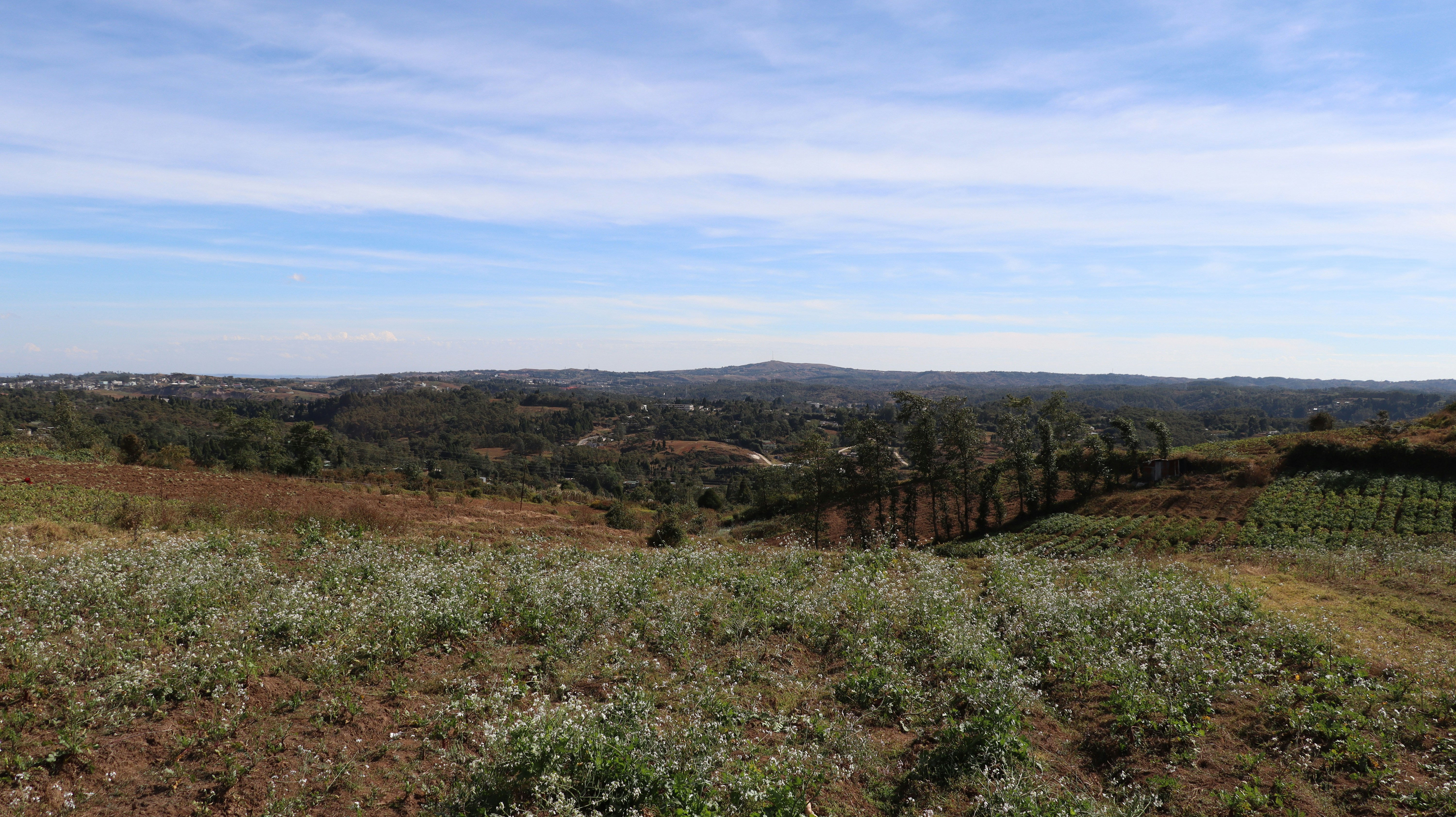 Photo by aditya_sethia_97