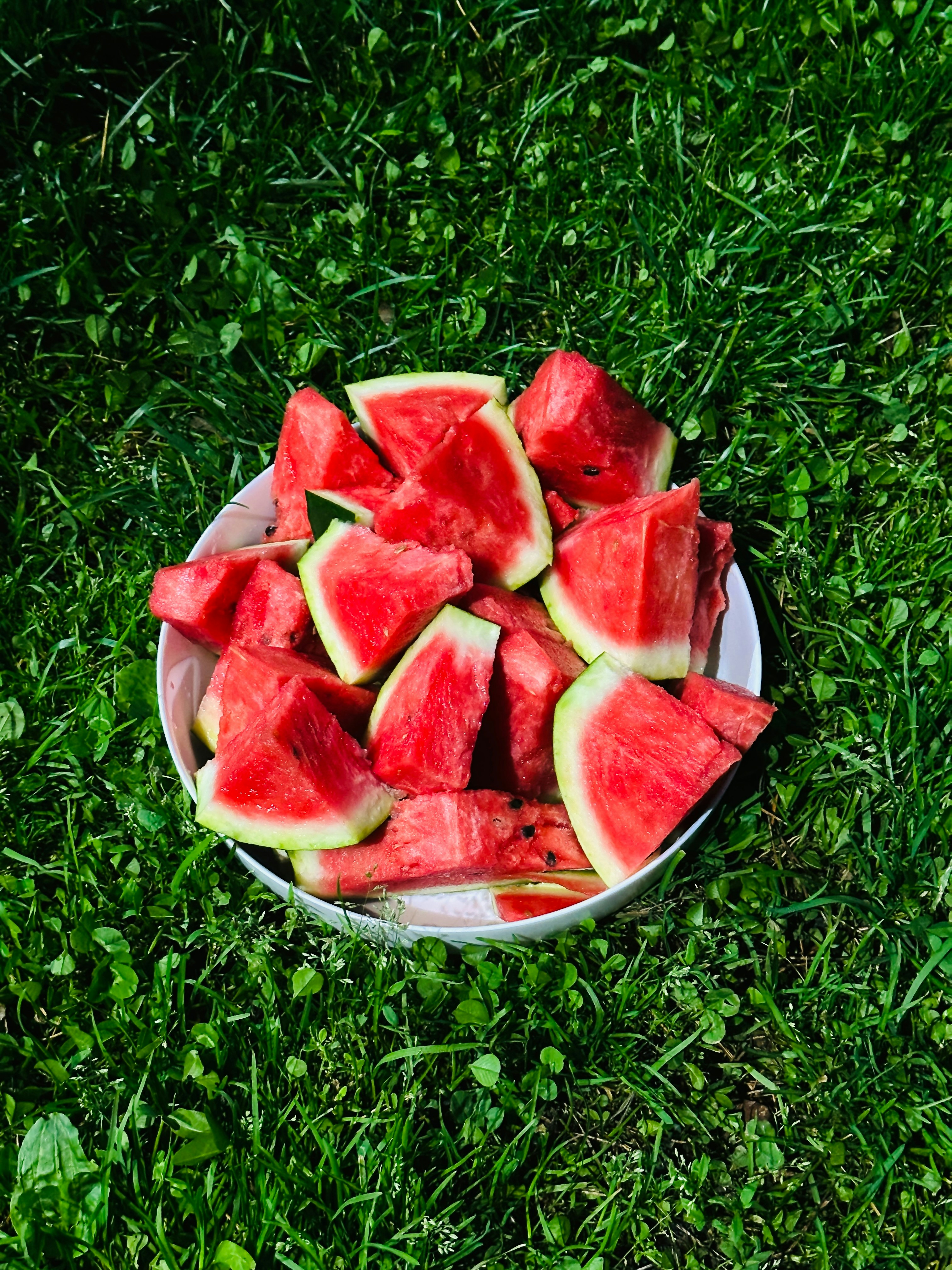 A bowl of watermelon slices on the grass