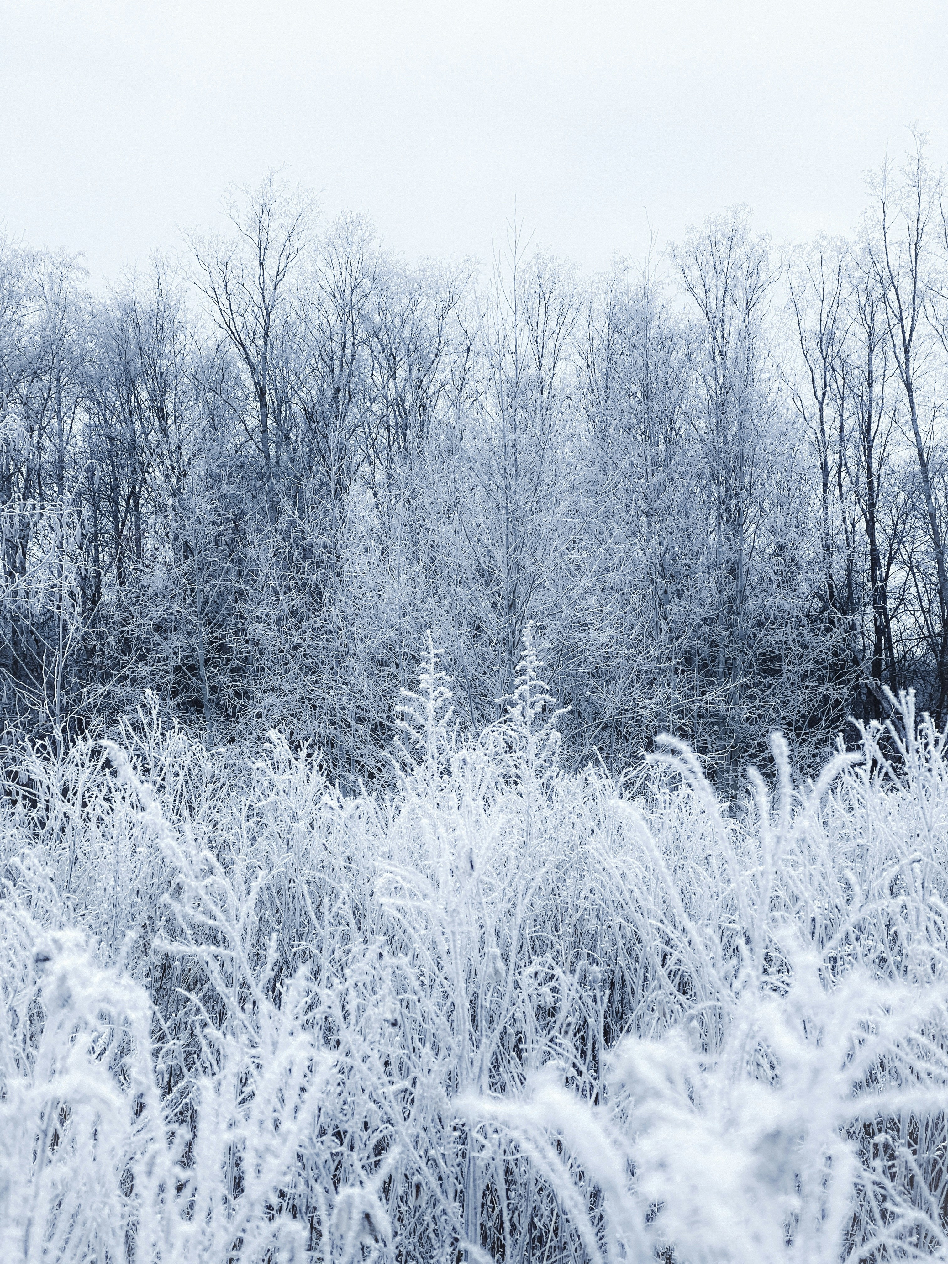 Photo by eugene_golovesov