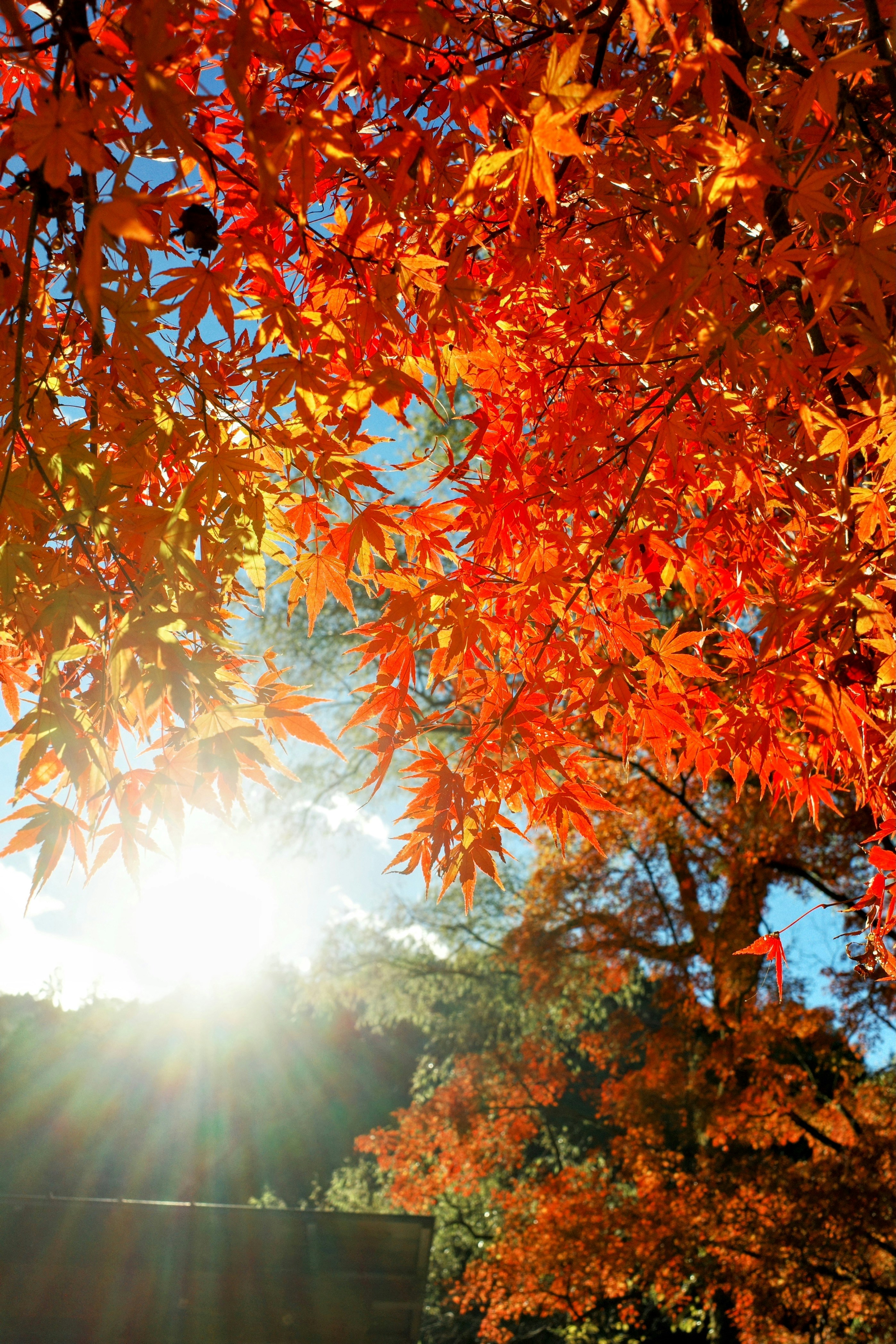 Photo by destroymayor