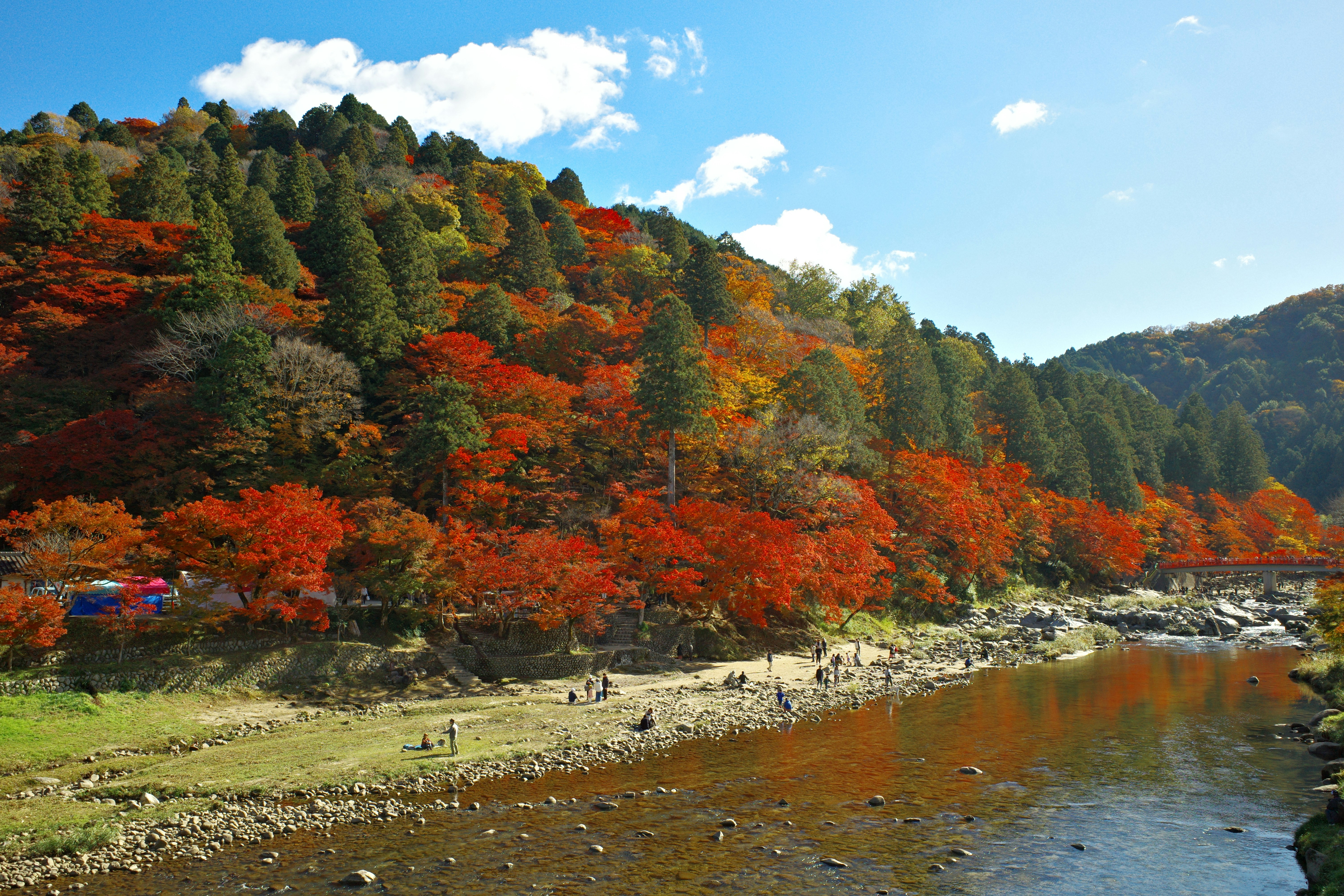 Satoyama Culture and Autumn Events