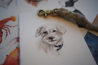 A picture of a dog on a piece of paper