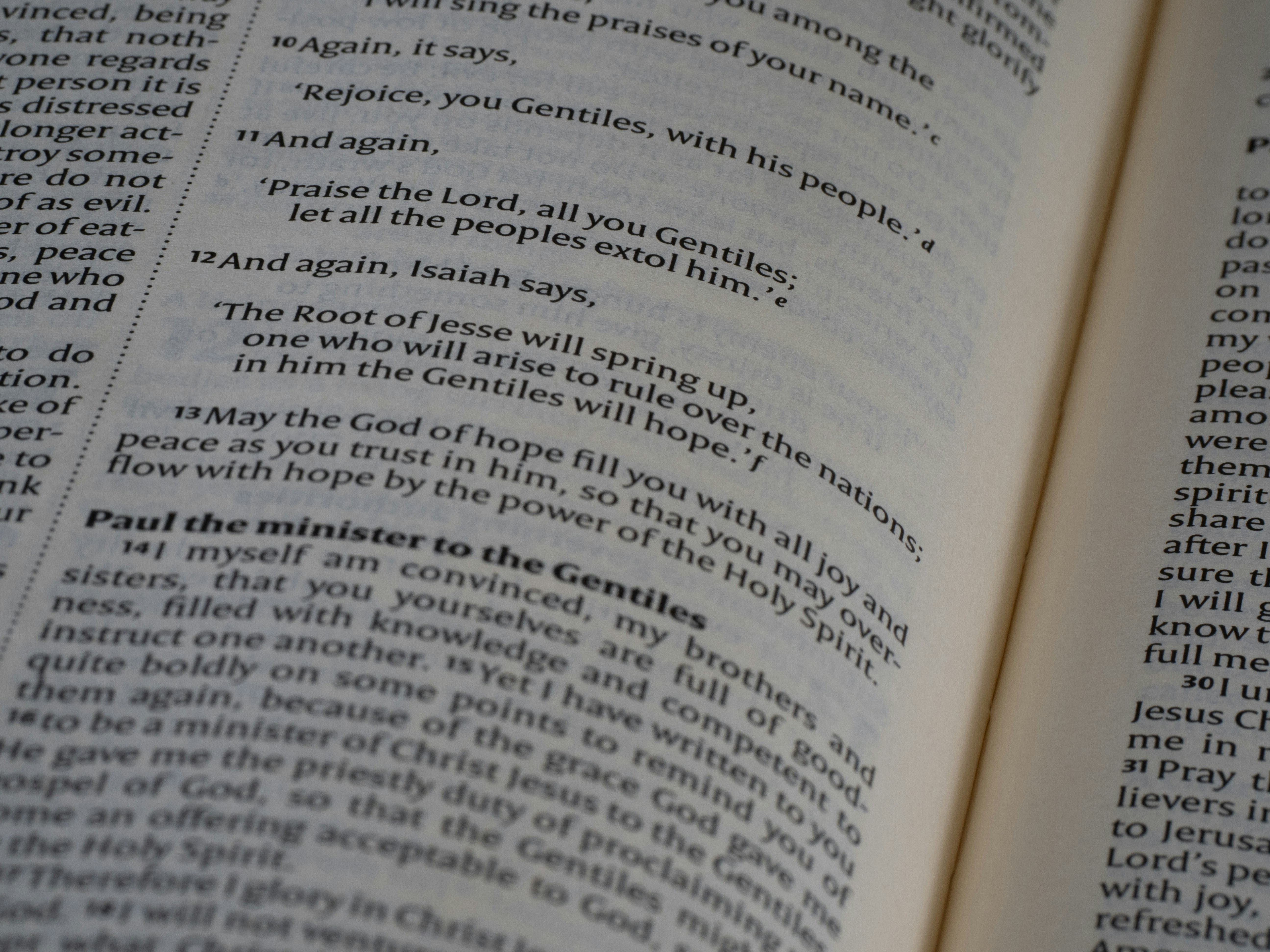 Photo by brett_jordan