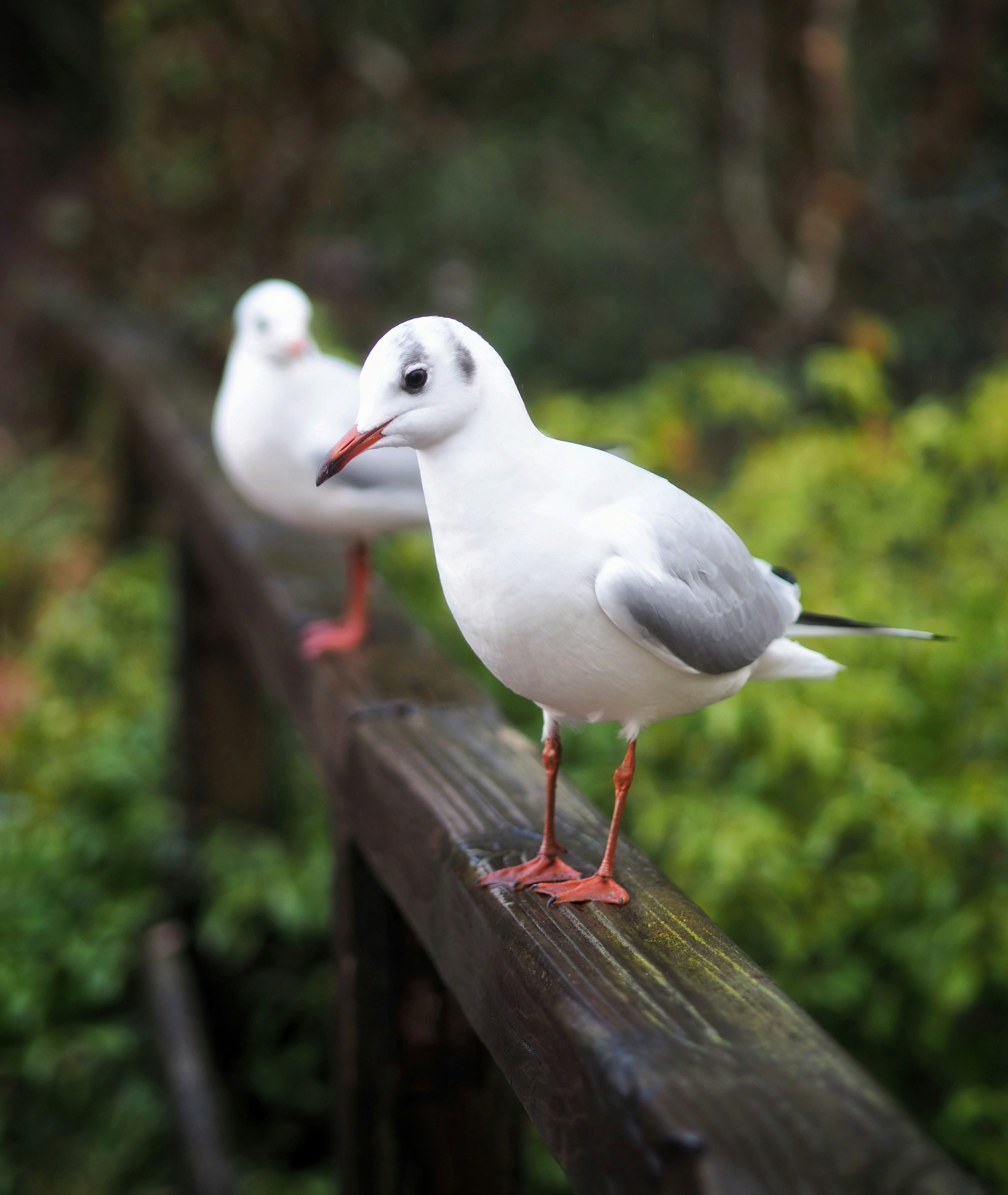 Photo by louiseellisphotography