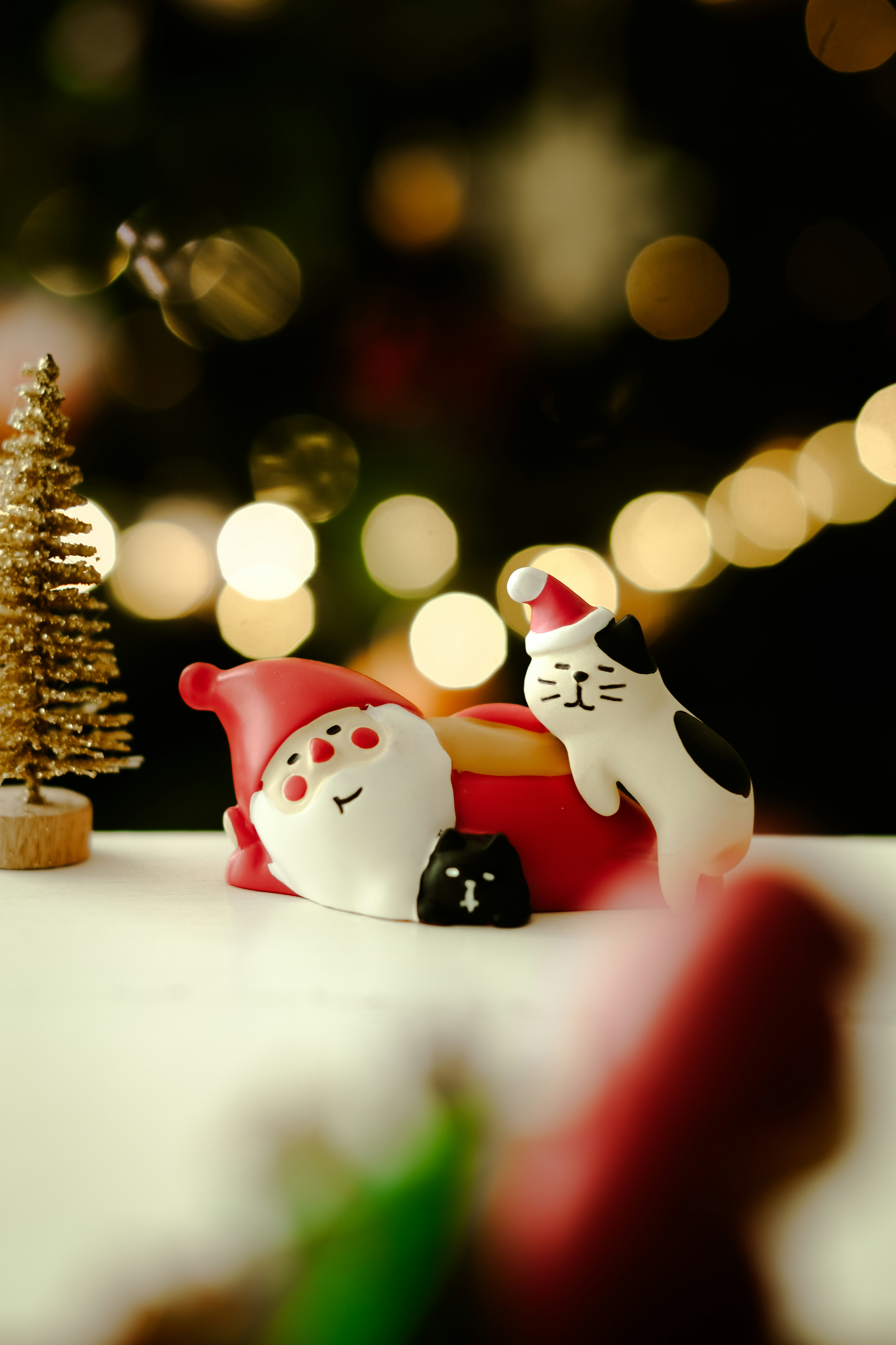 Photo by nganduong93