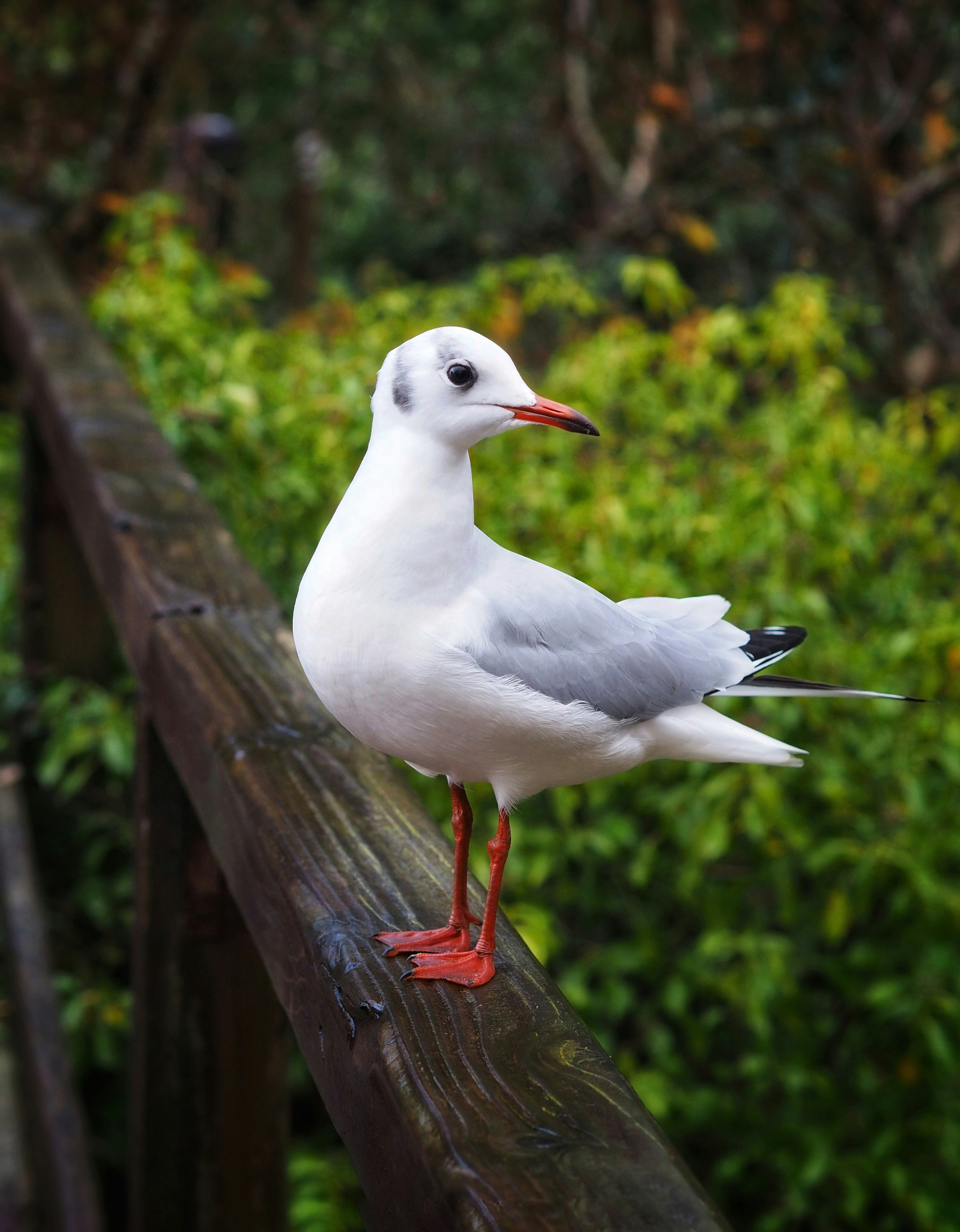 Photo by louiseellisphotography