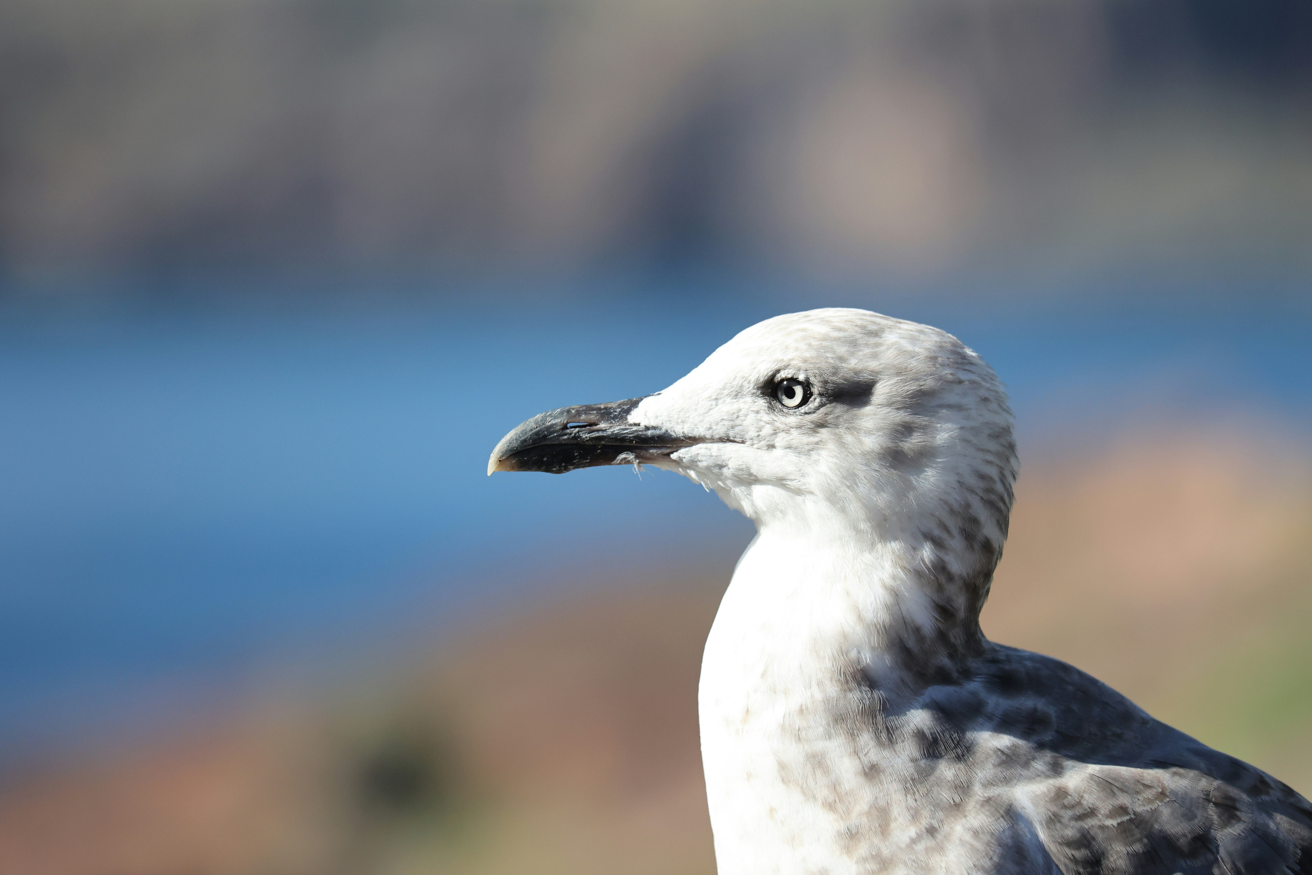 Photo by fliesentischfotograf