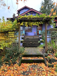 Къща с предна градина, където есенни листа покриват пътеката, показвайки нужда от почистване.