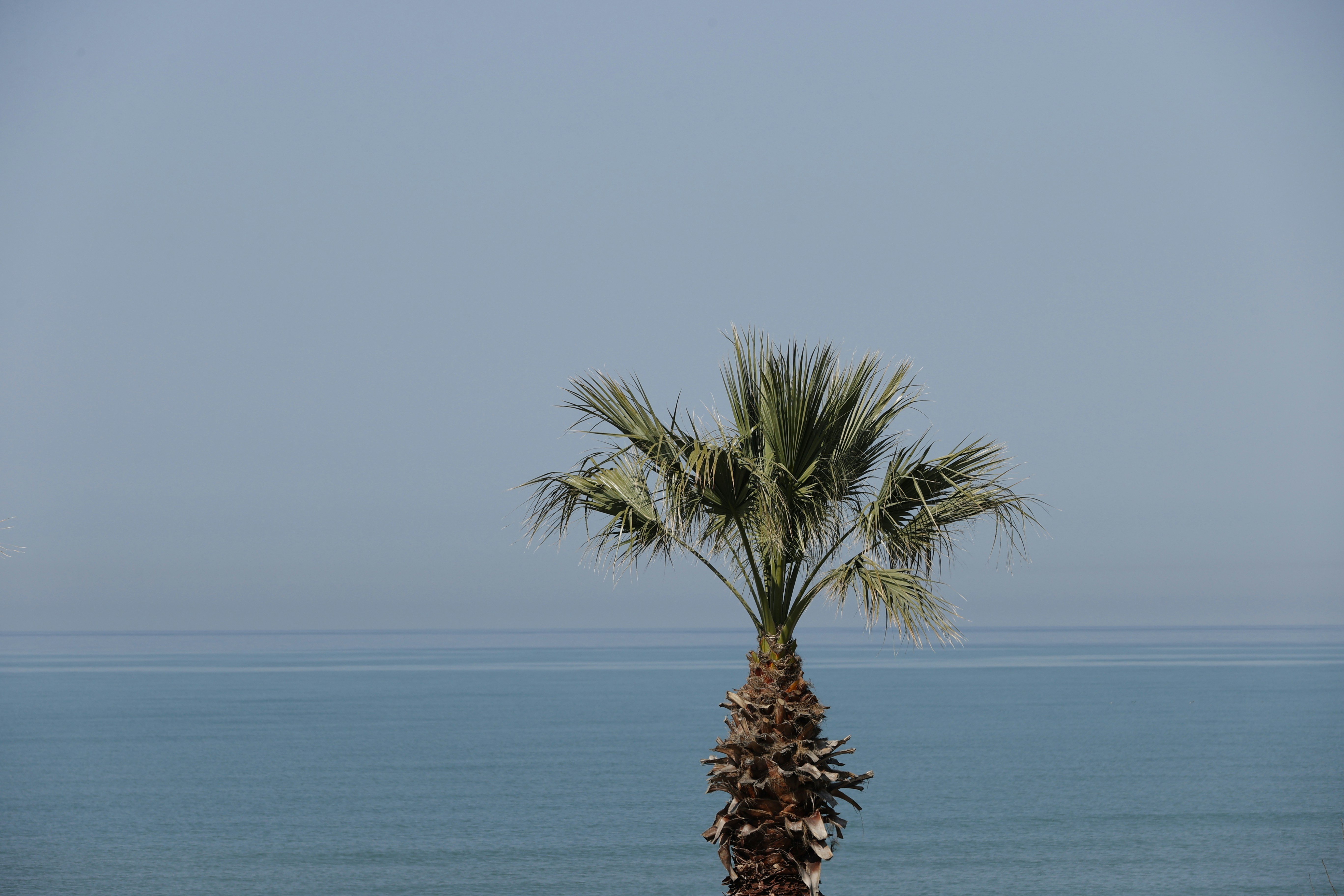 Photo by fotomuhabiriomer