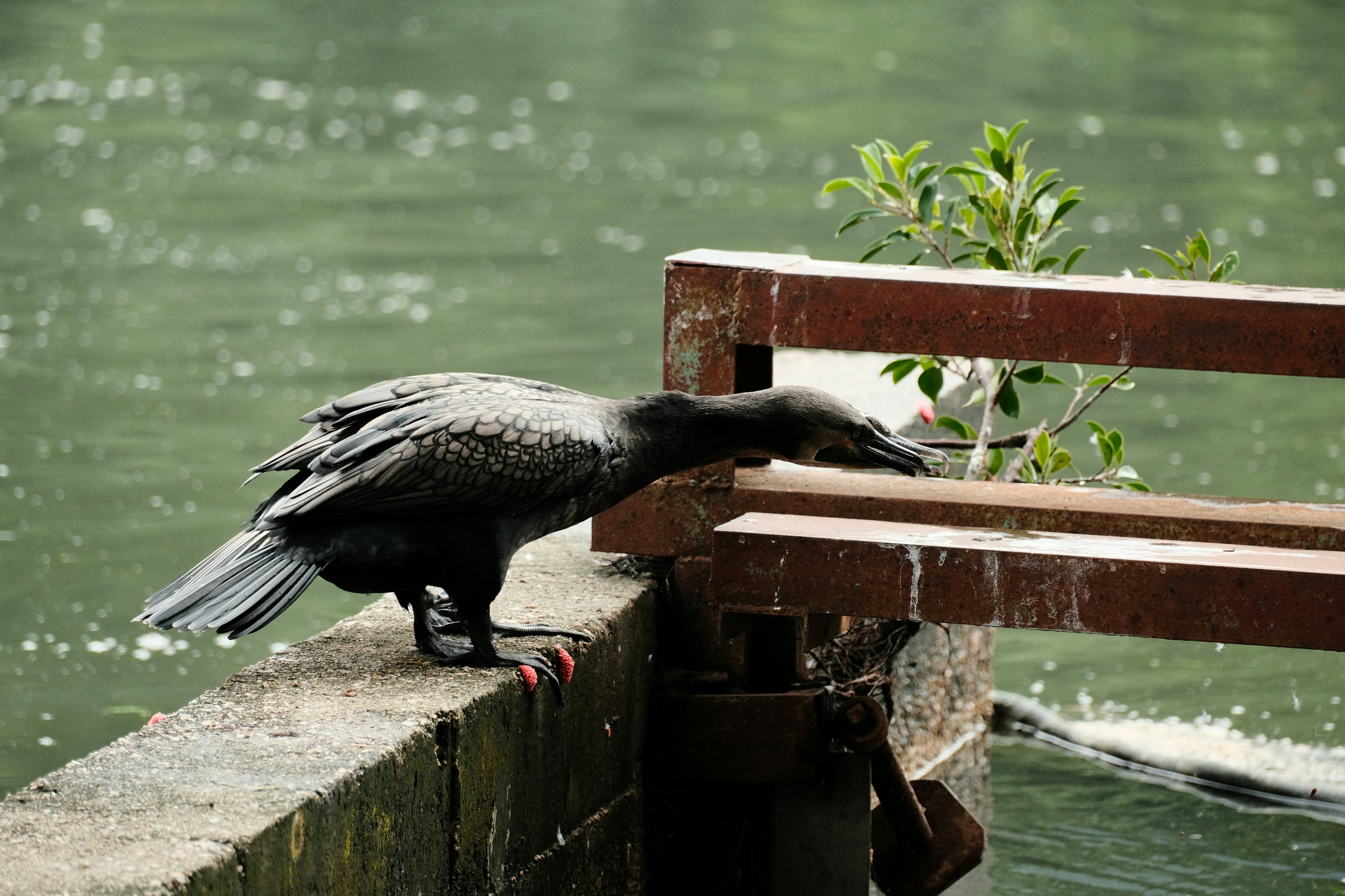 Photo by duke91
