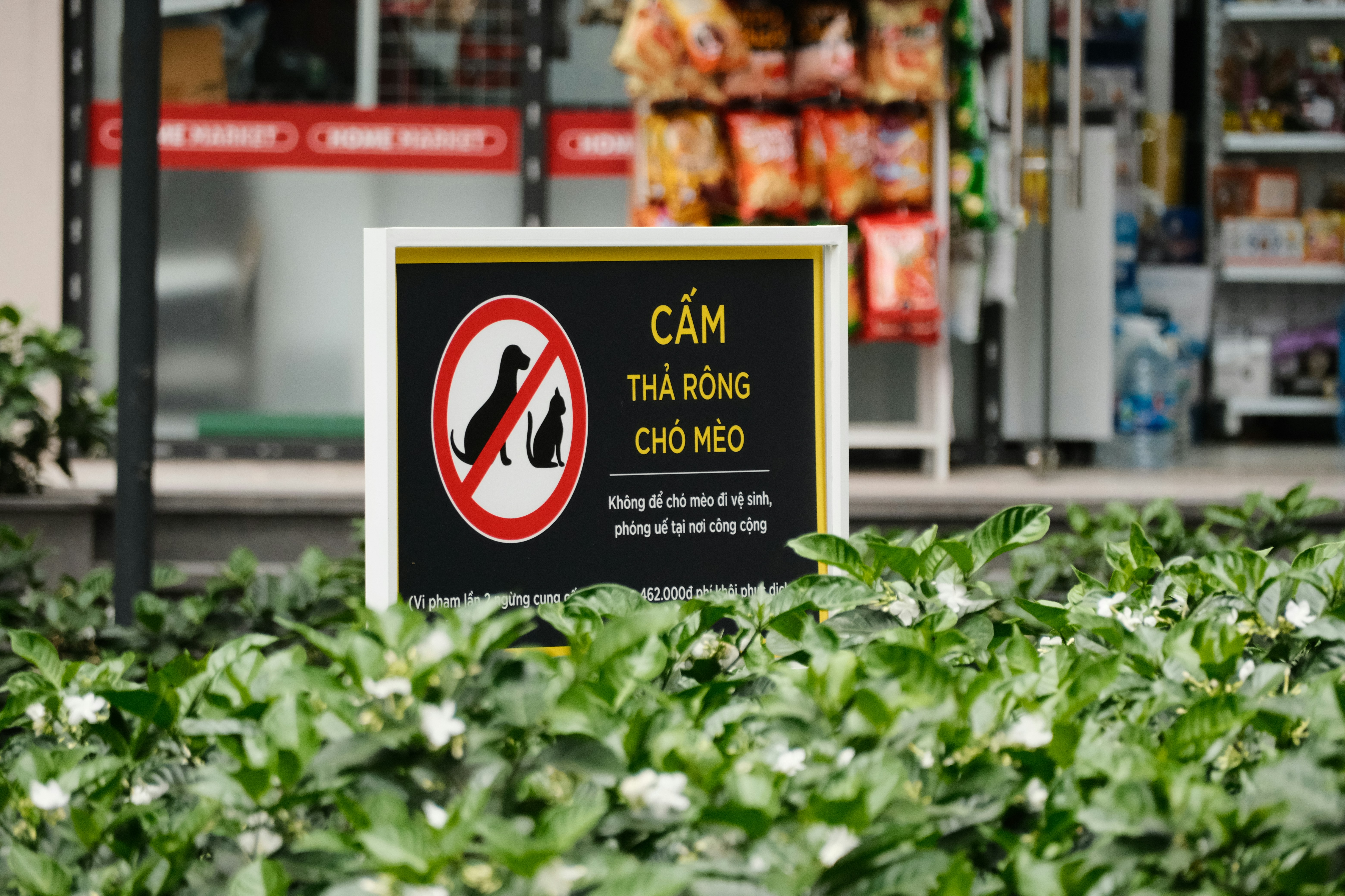 Chị Nụ