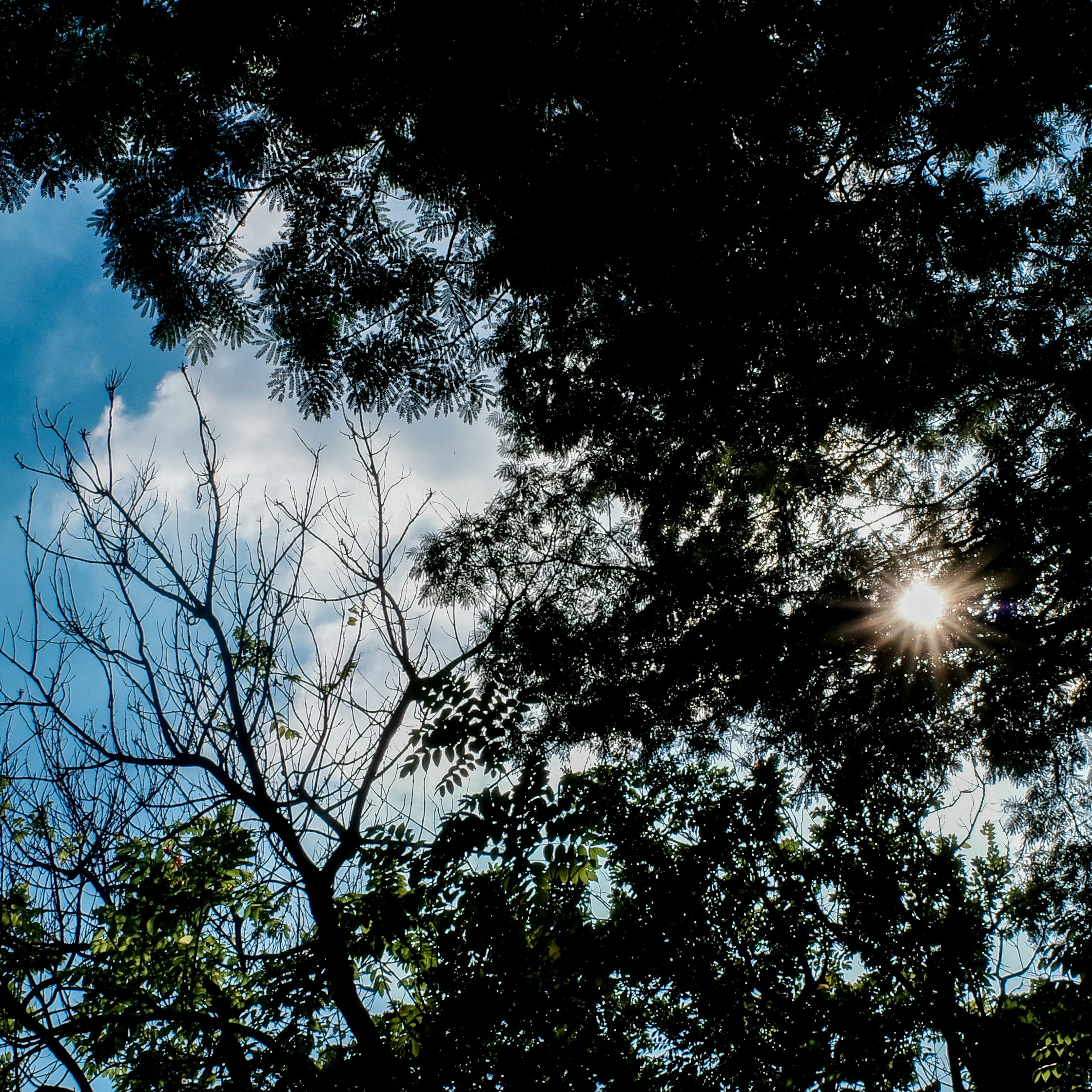 Photo by dickenslin76