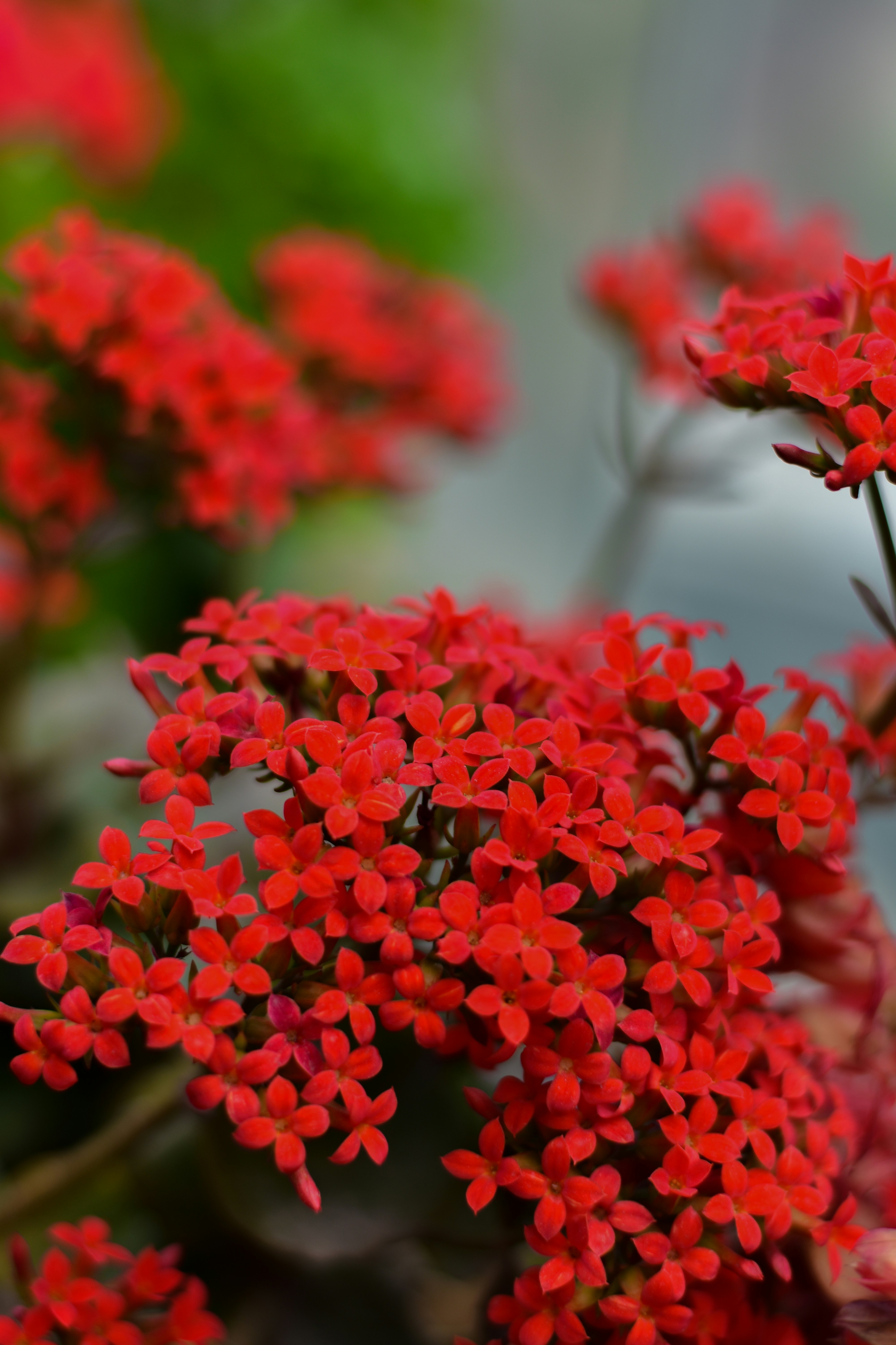 Photo by neelakshi_singh_