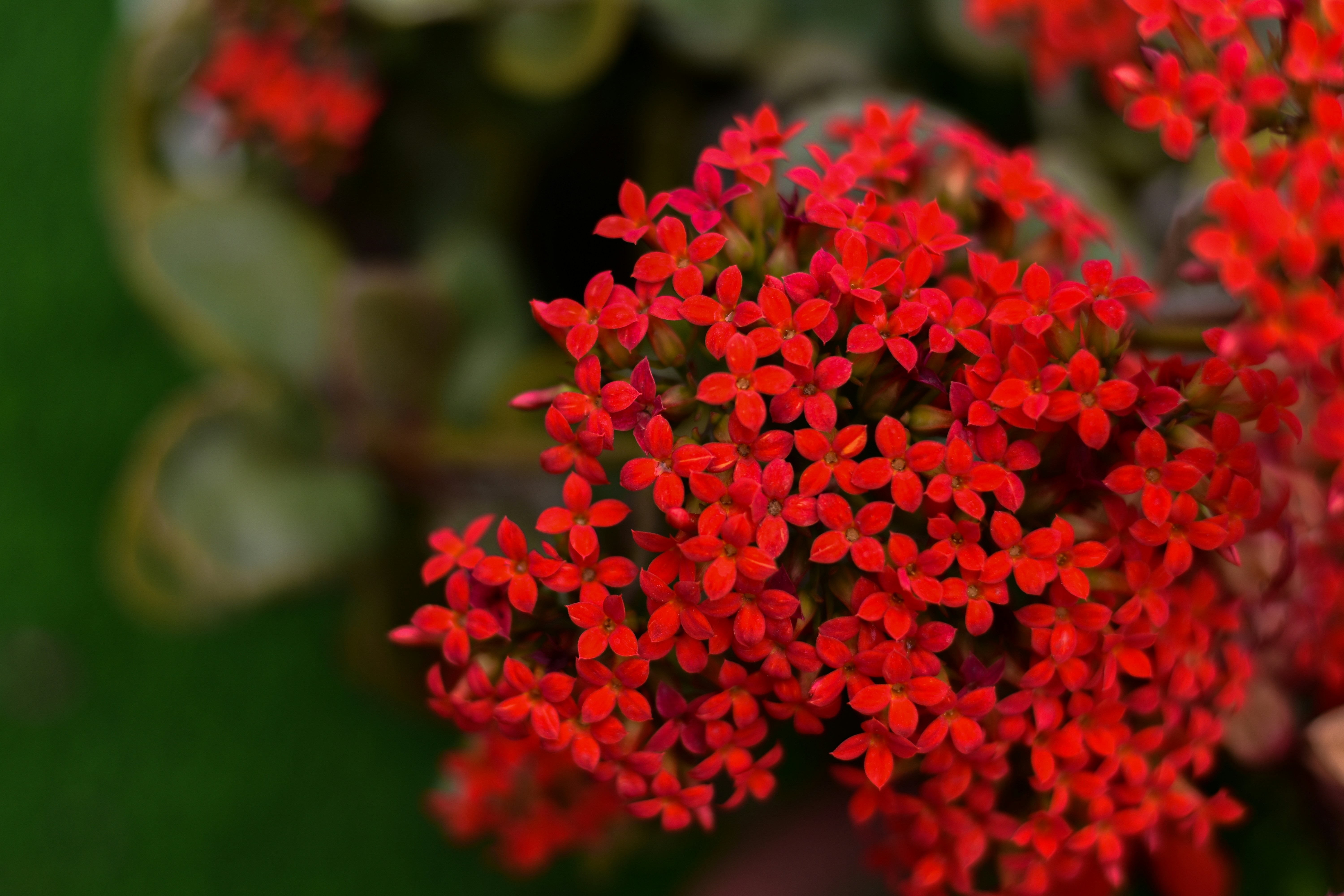 Photo by neelakshi_singh_