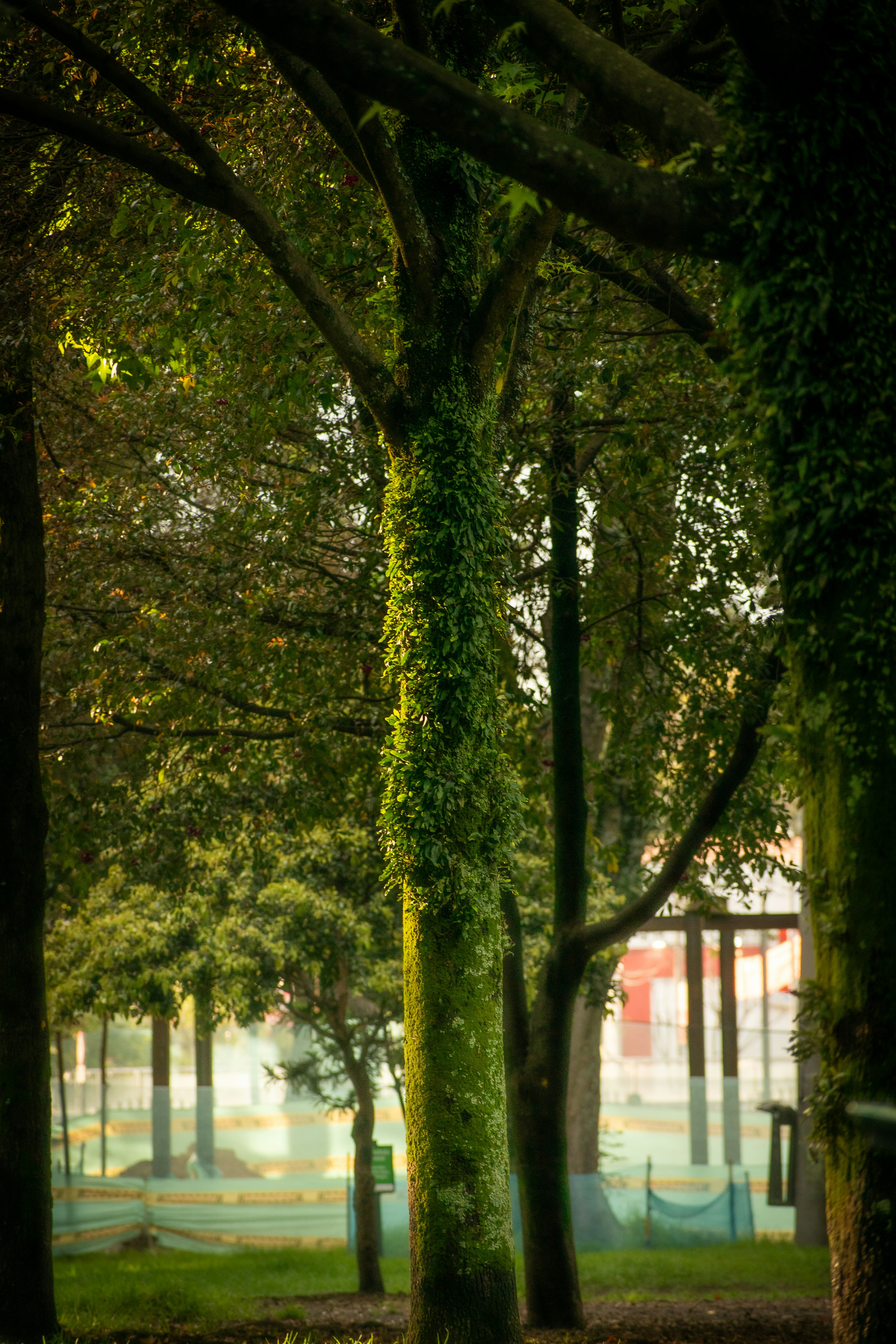 Photo by sebaslaverde_nkn