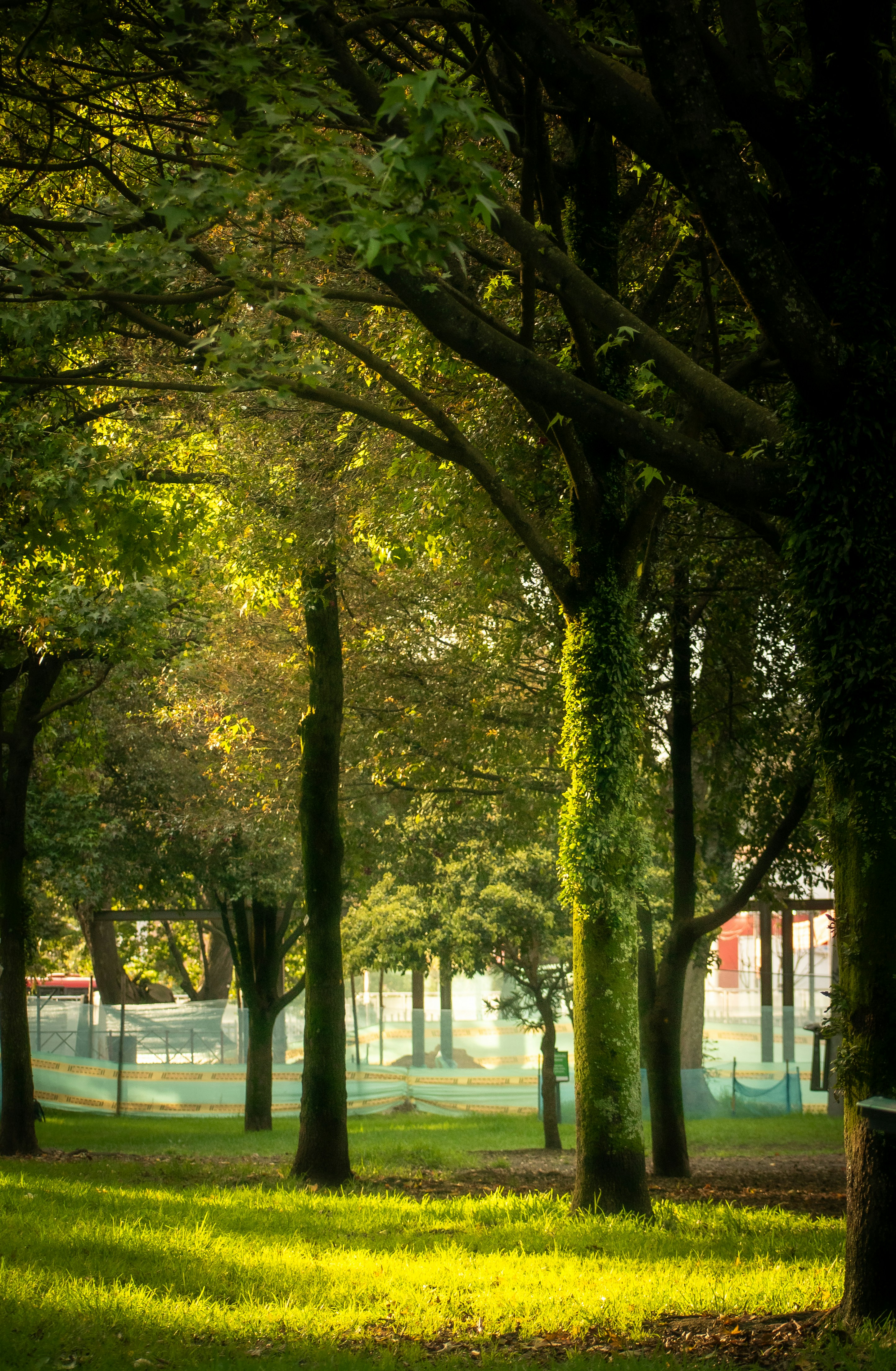 Photo by sebaslaverde_nkn