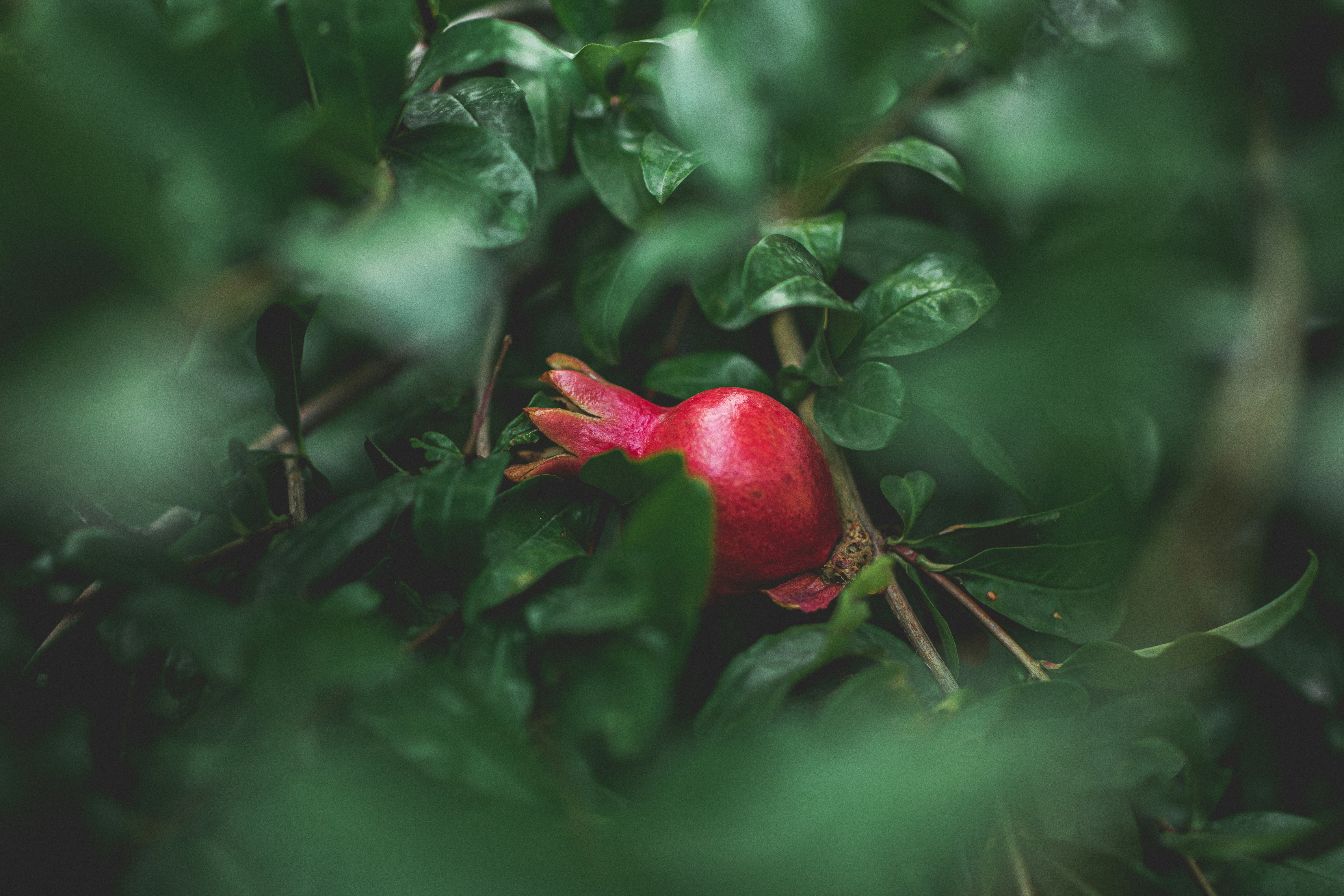 Photo by sentimaprinco