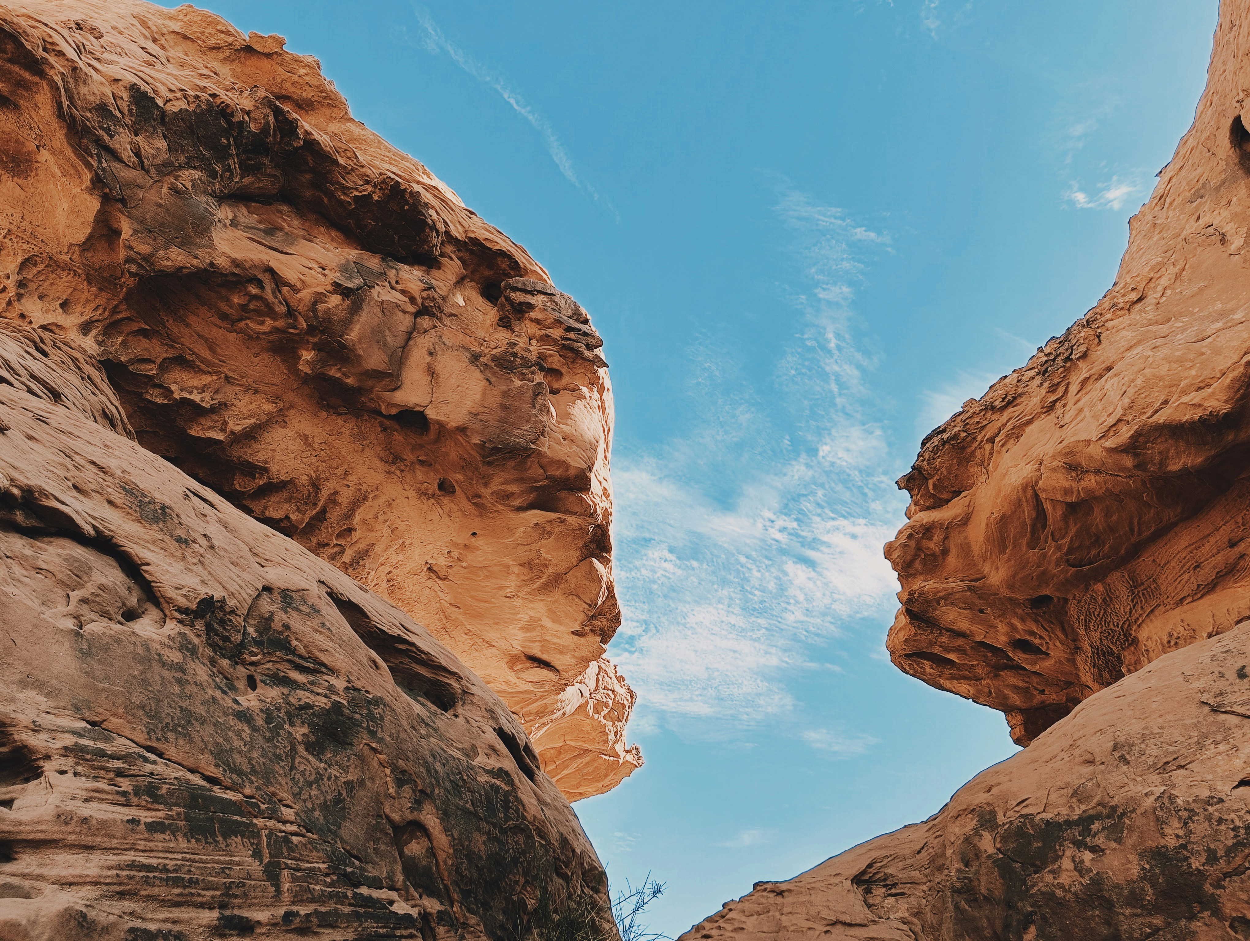 Photo by osama_fathy22