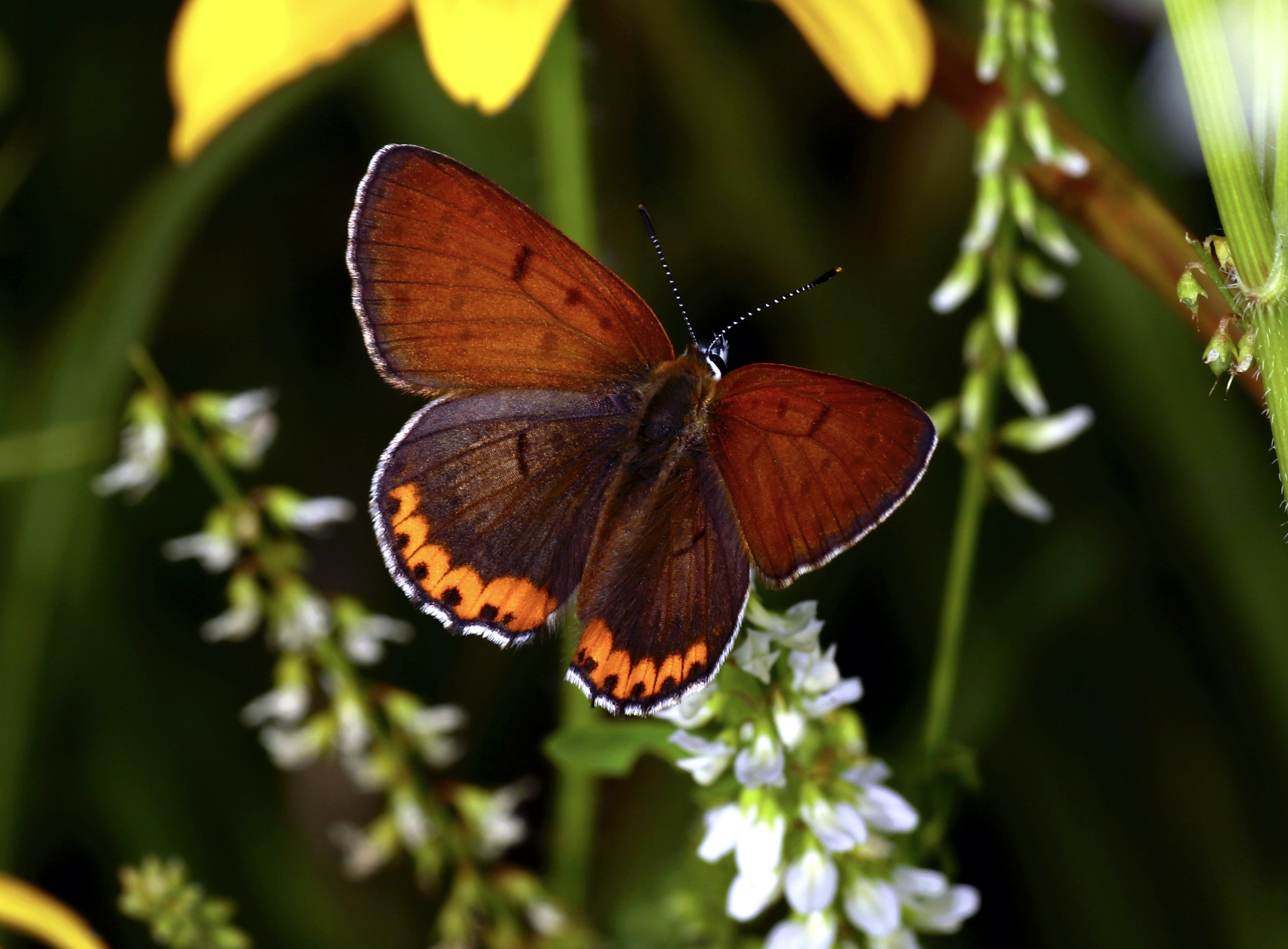 Photo by telliottmbamsc