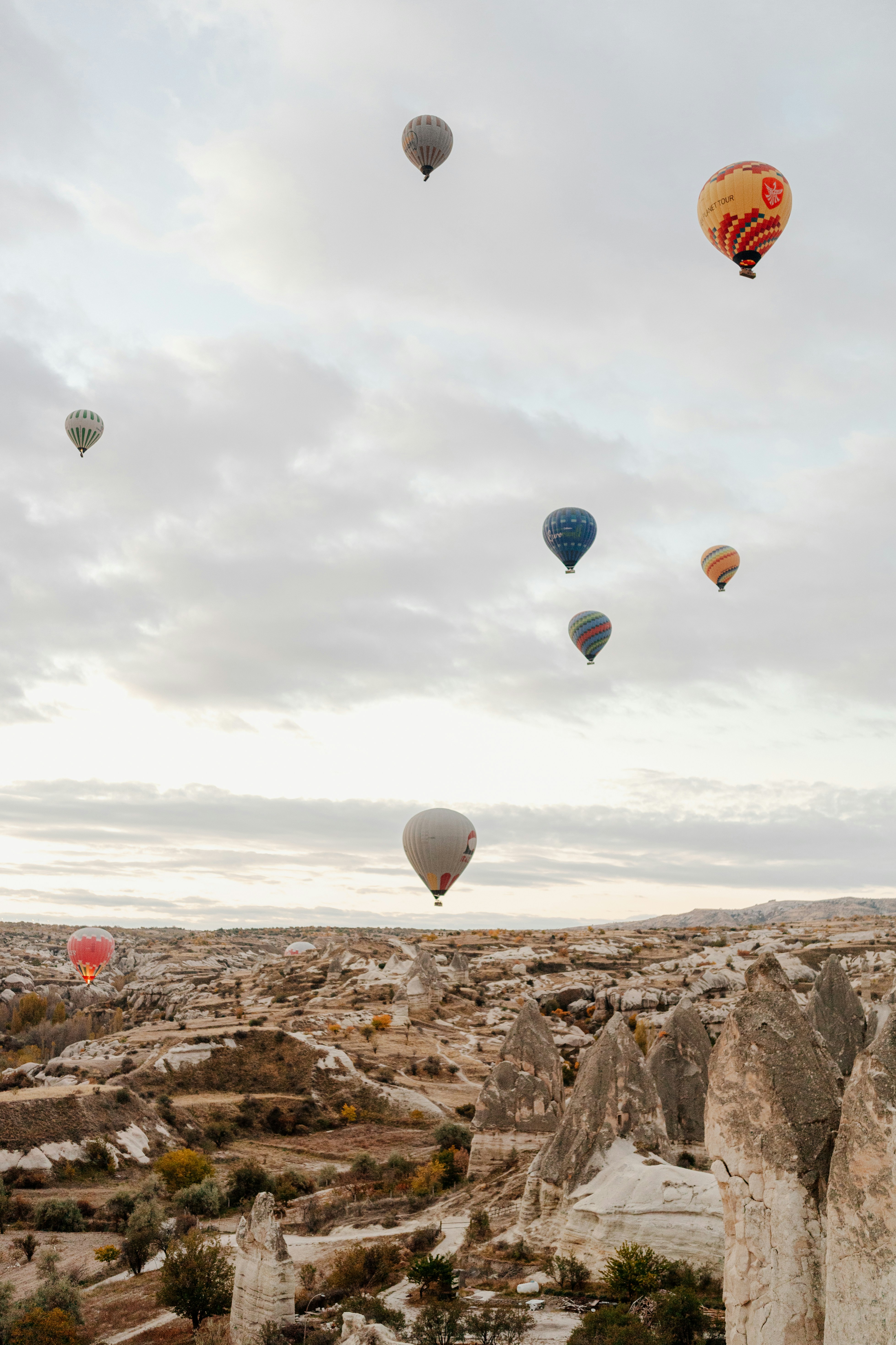 Photo by igorharrier