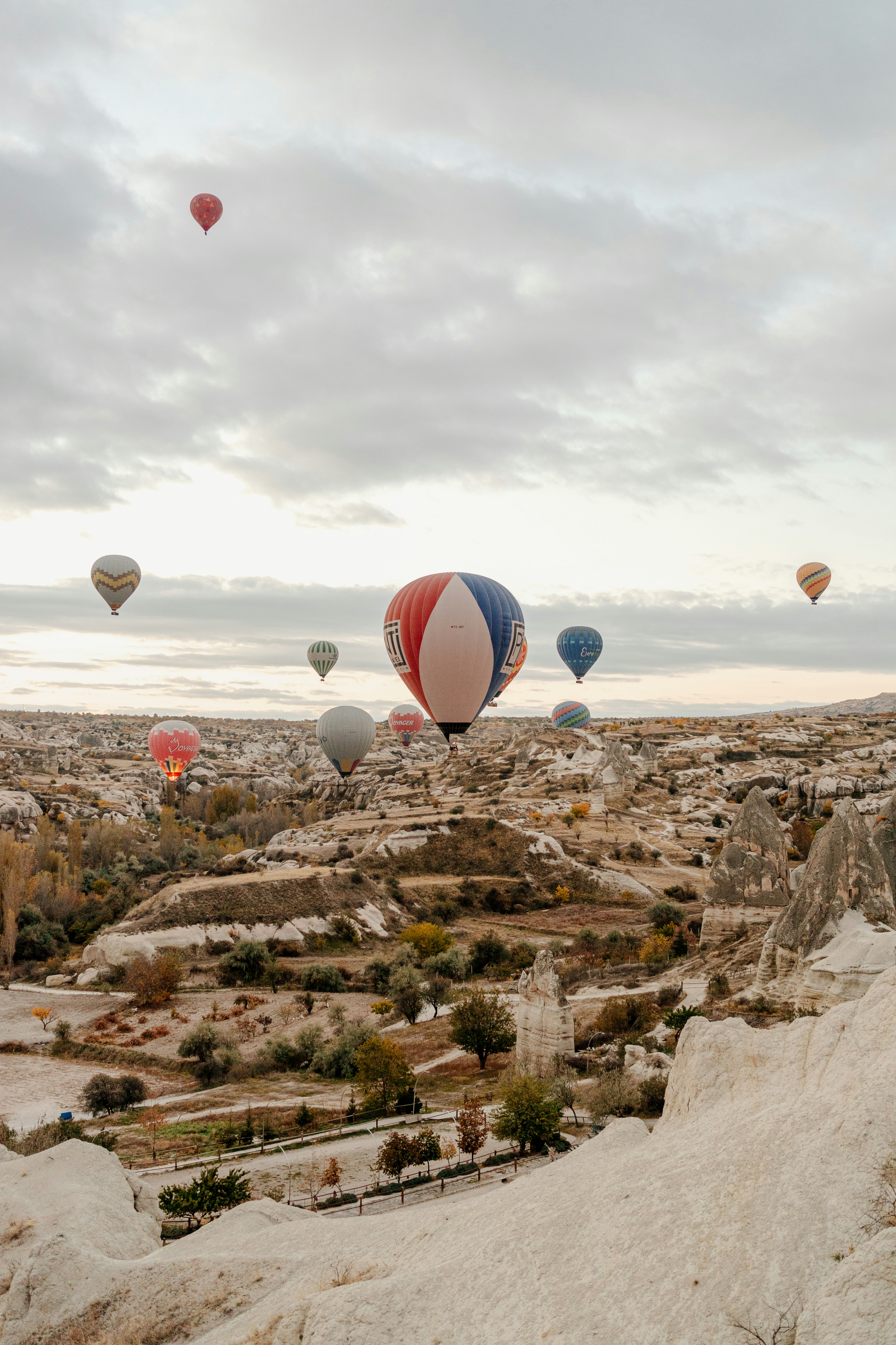 Photo by igorharrier