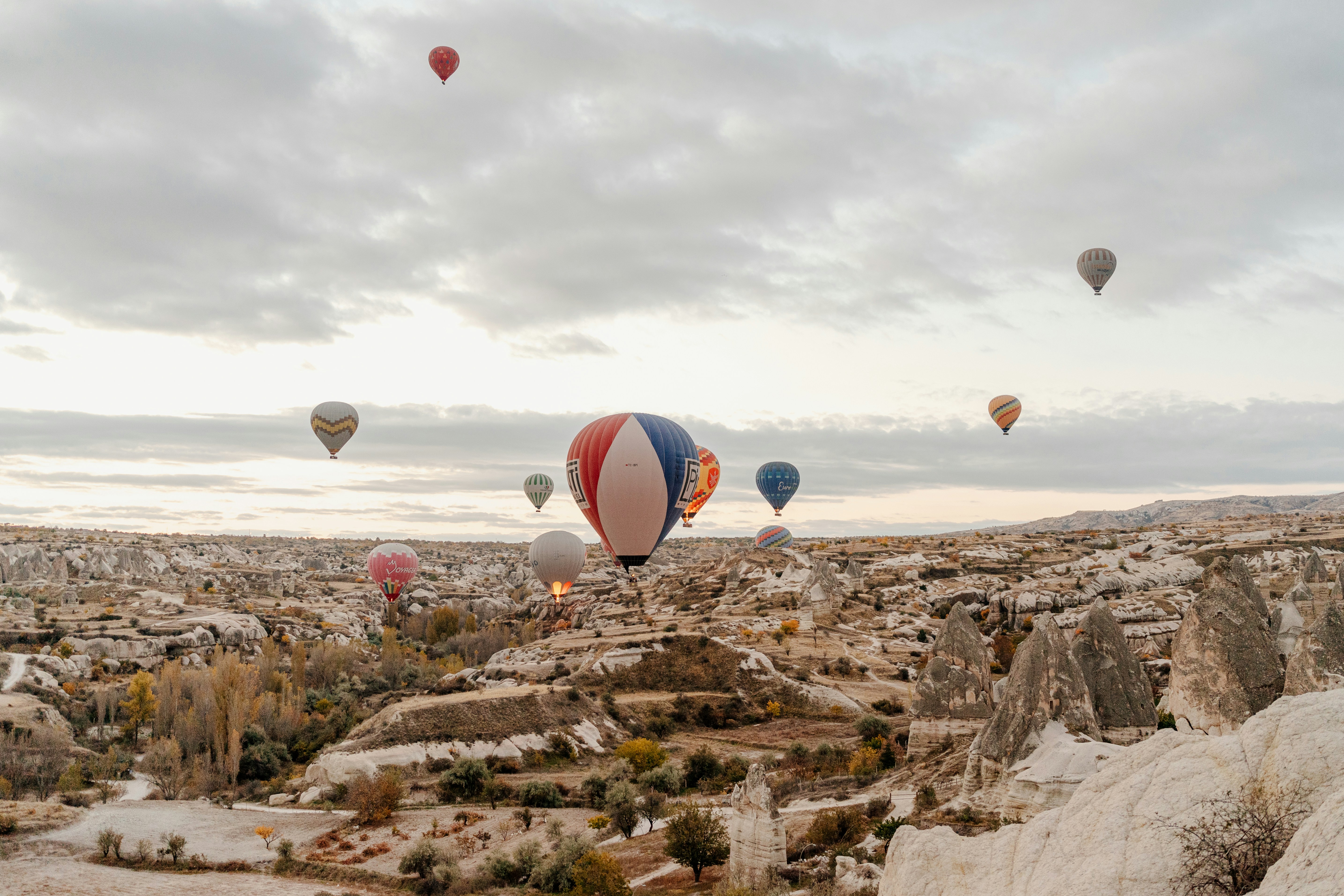 Photo by igorharrier