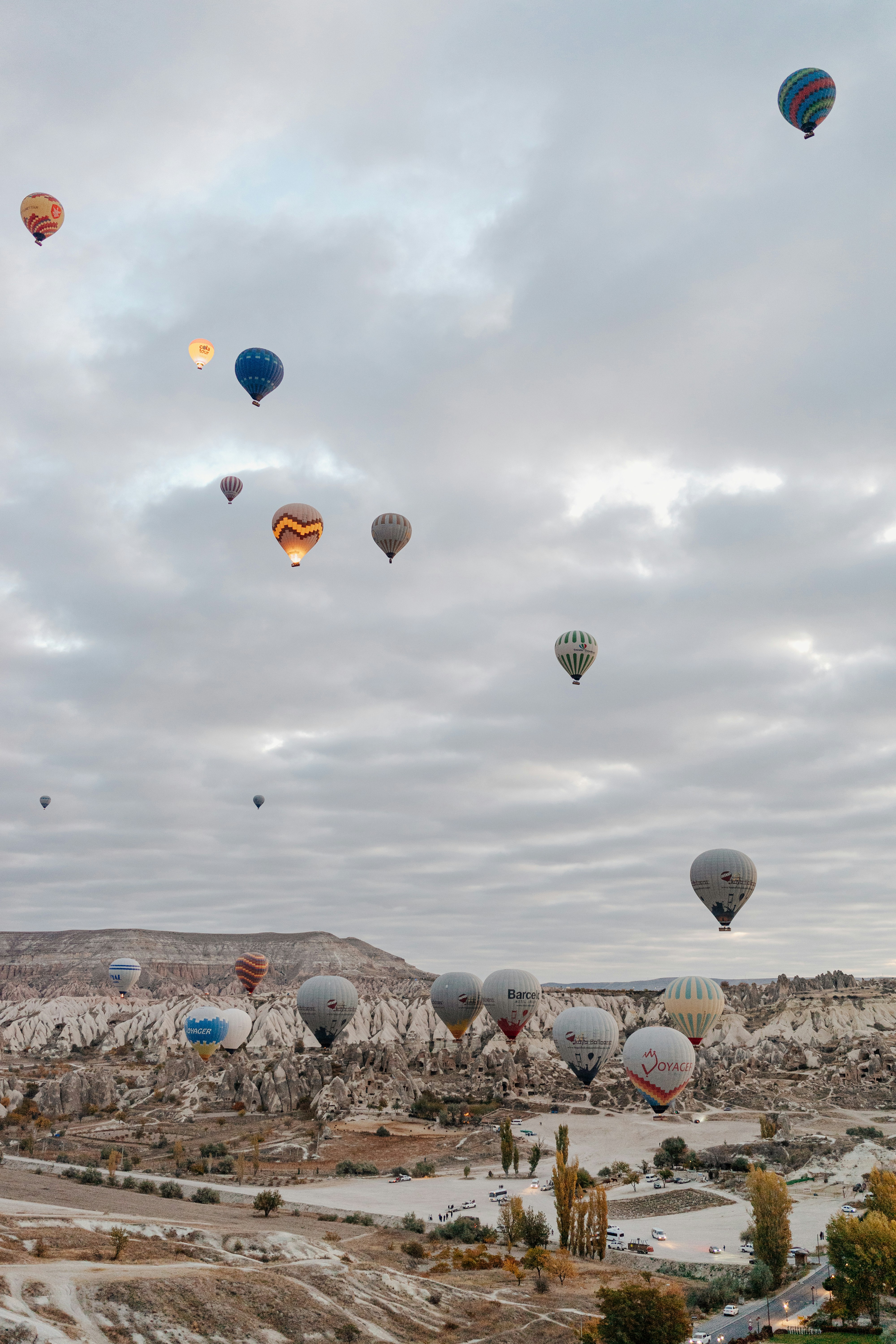 Photo by igorharrier