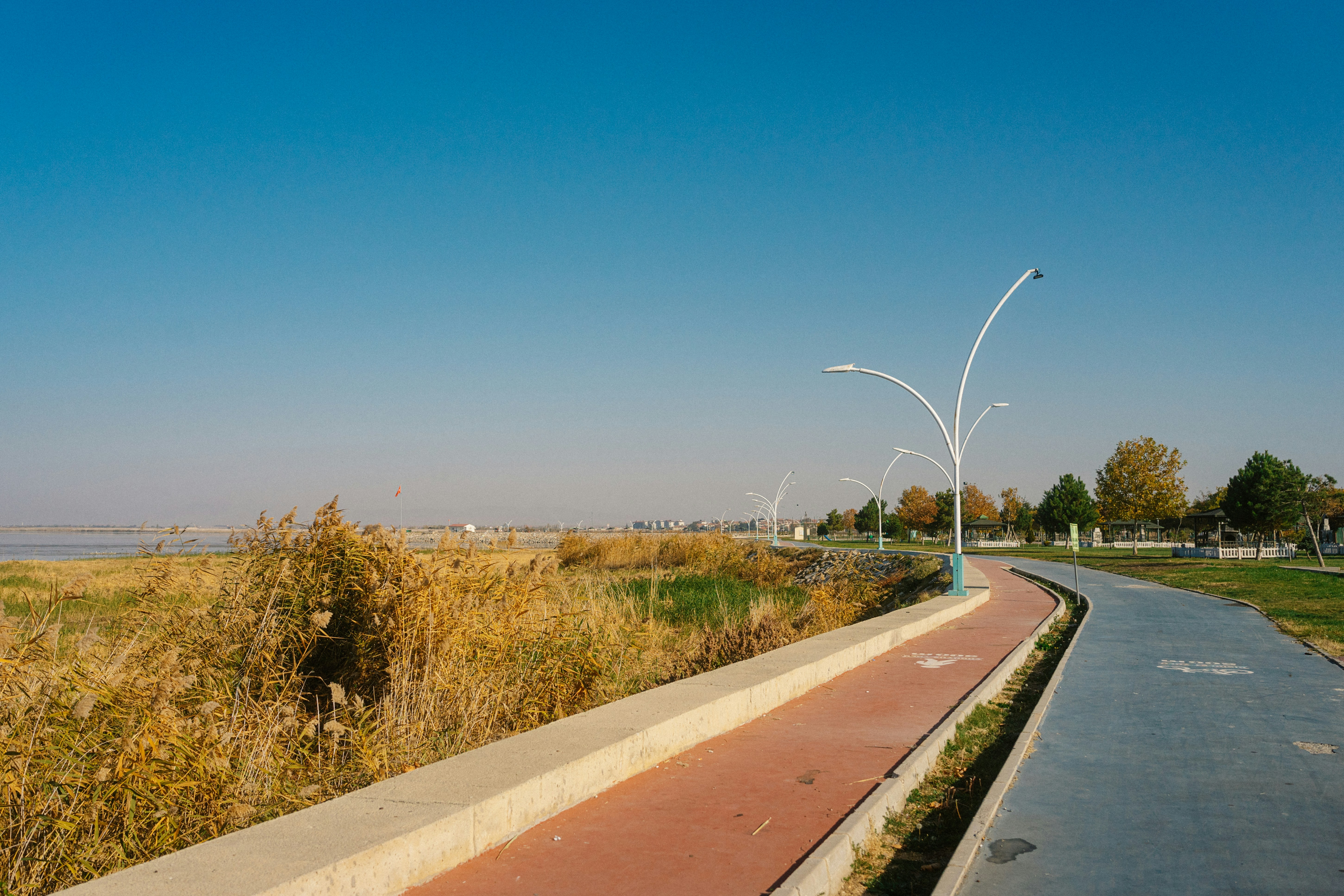 Beaver Roadside Park