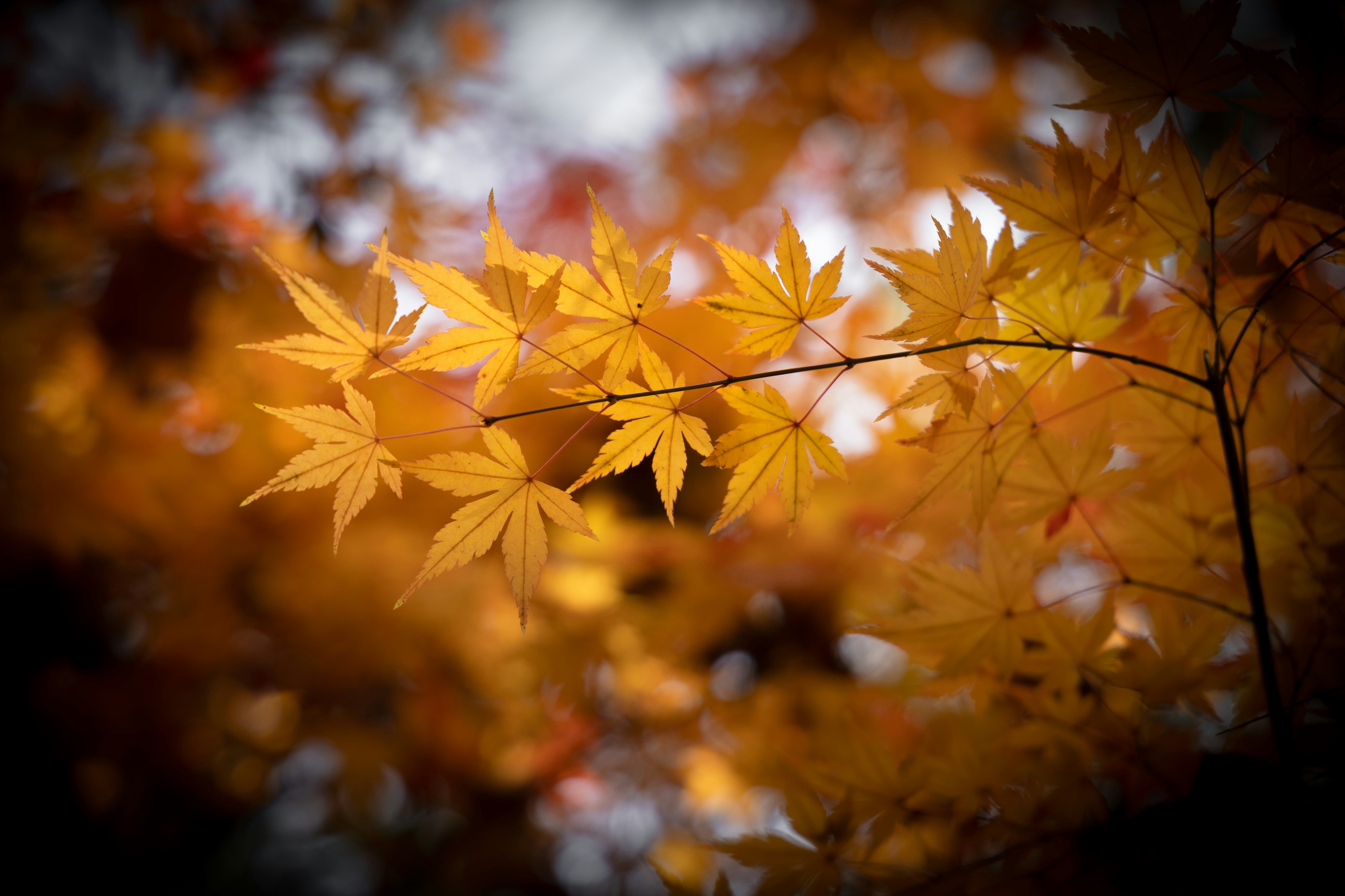 Photo by wenhao_ruan