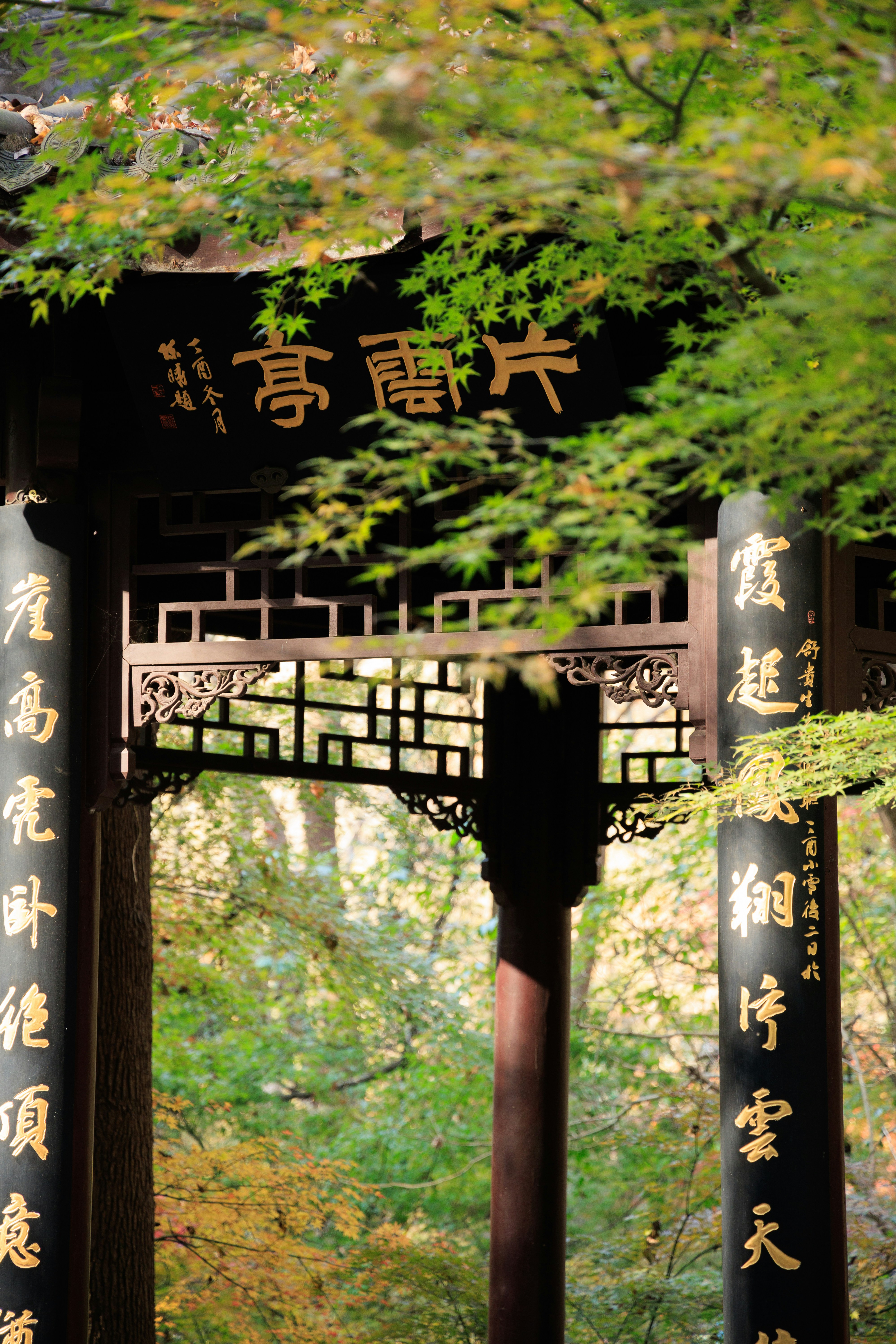 Photo by wenhao_ruan