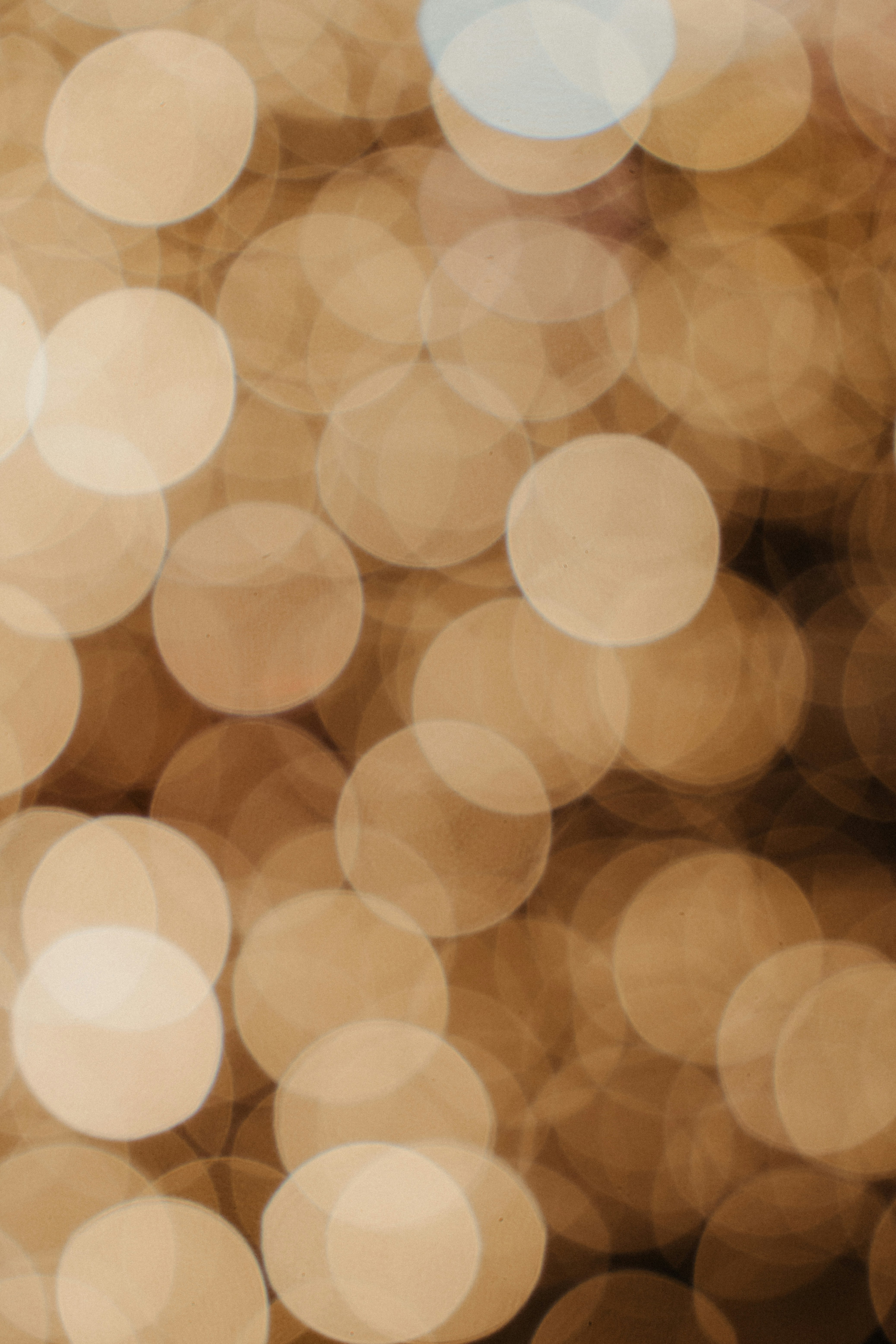 Photo by luiseandnic