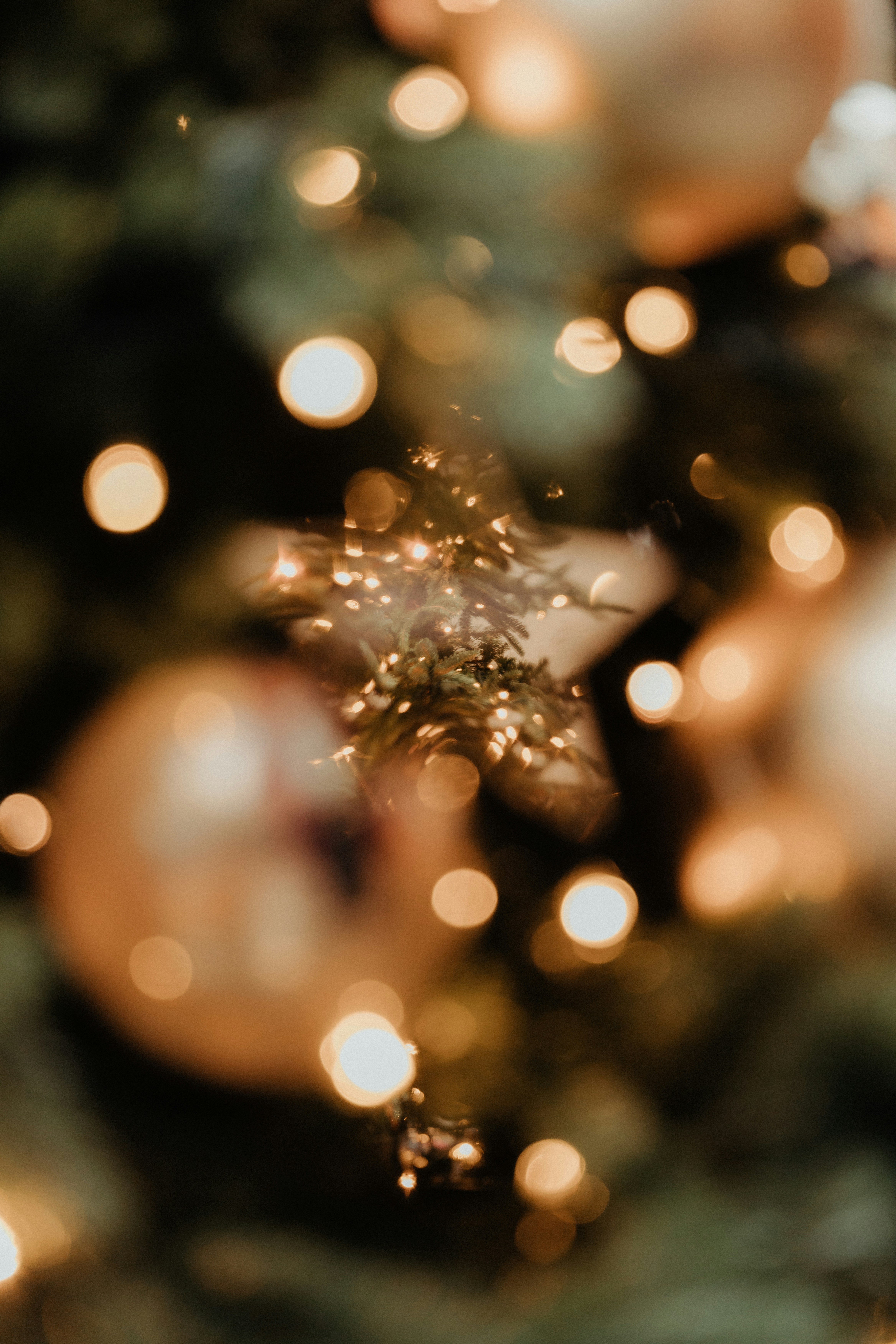 Photo by luiseandnic