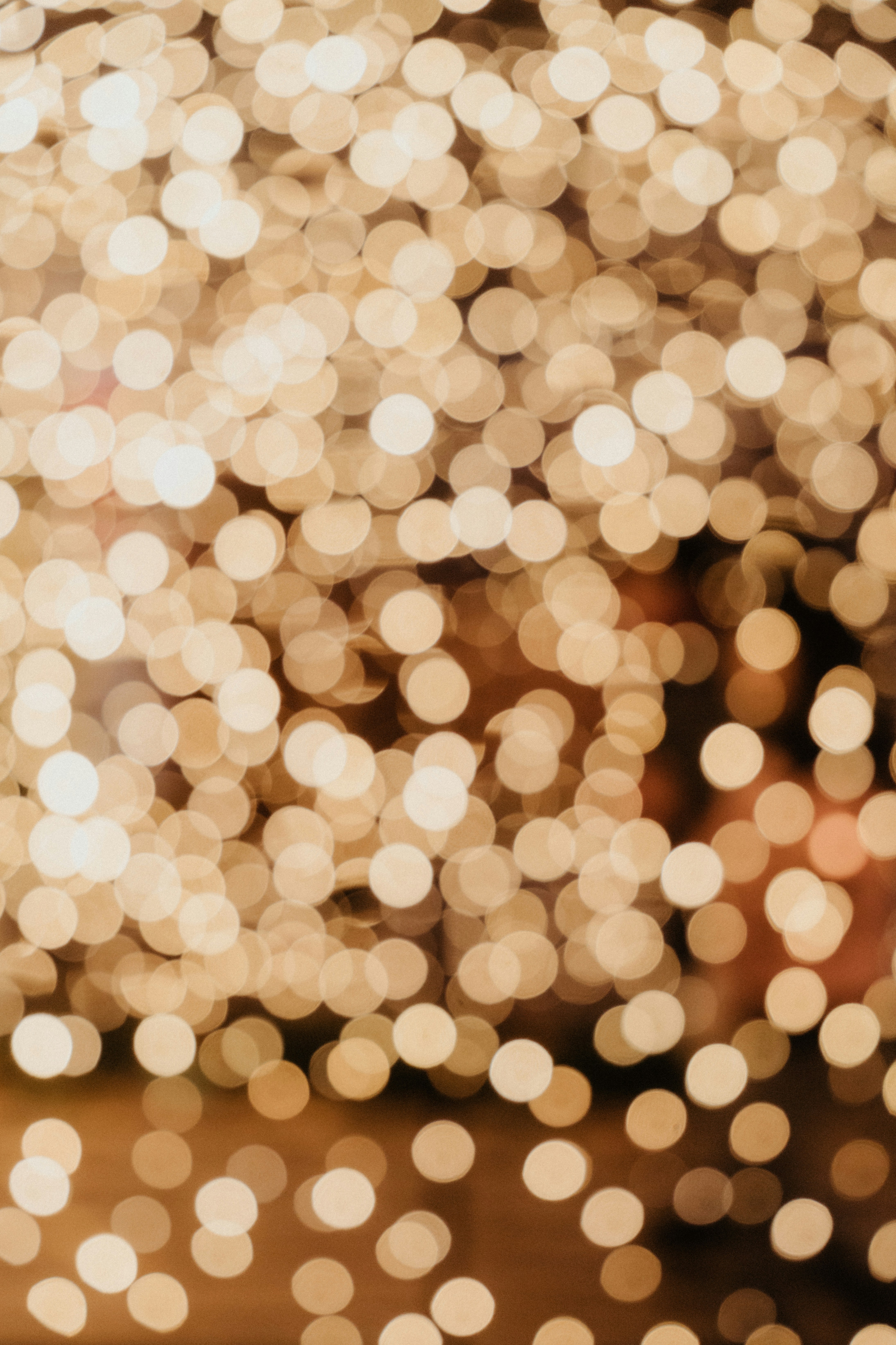 Photo by luiseandnic