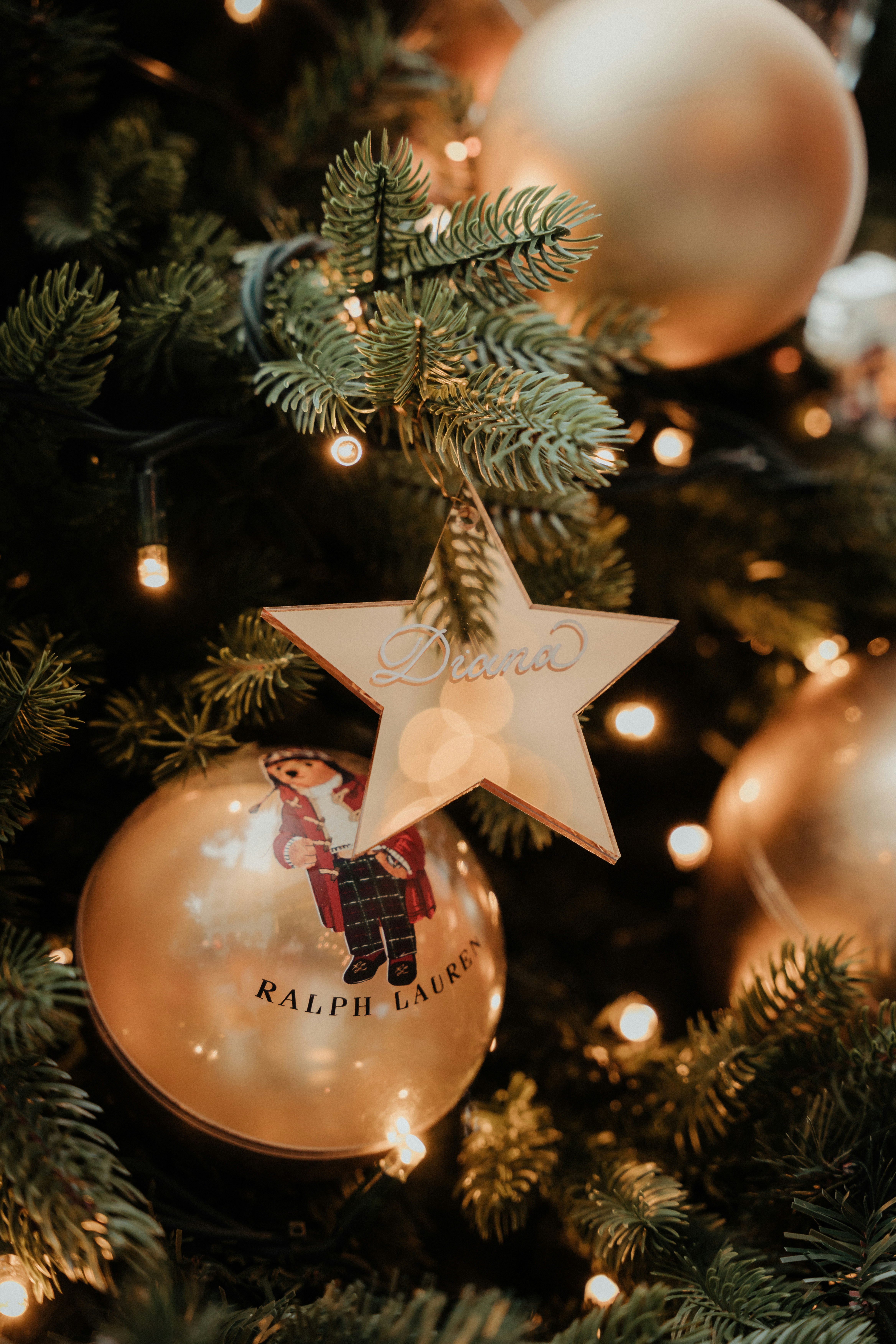 Glamorous pet with star accessories representing celebrity-inspired names