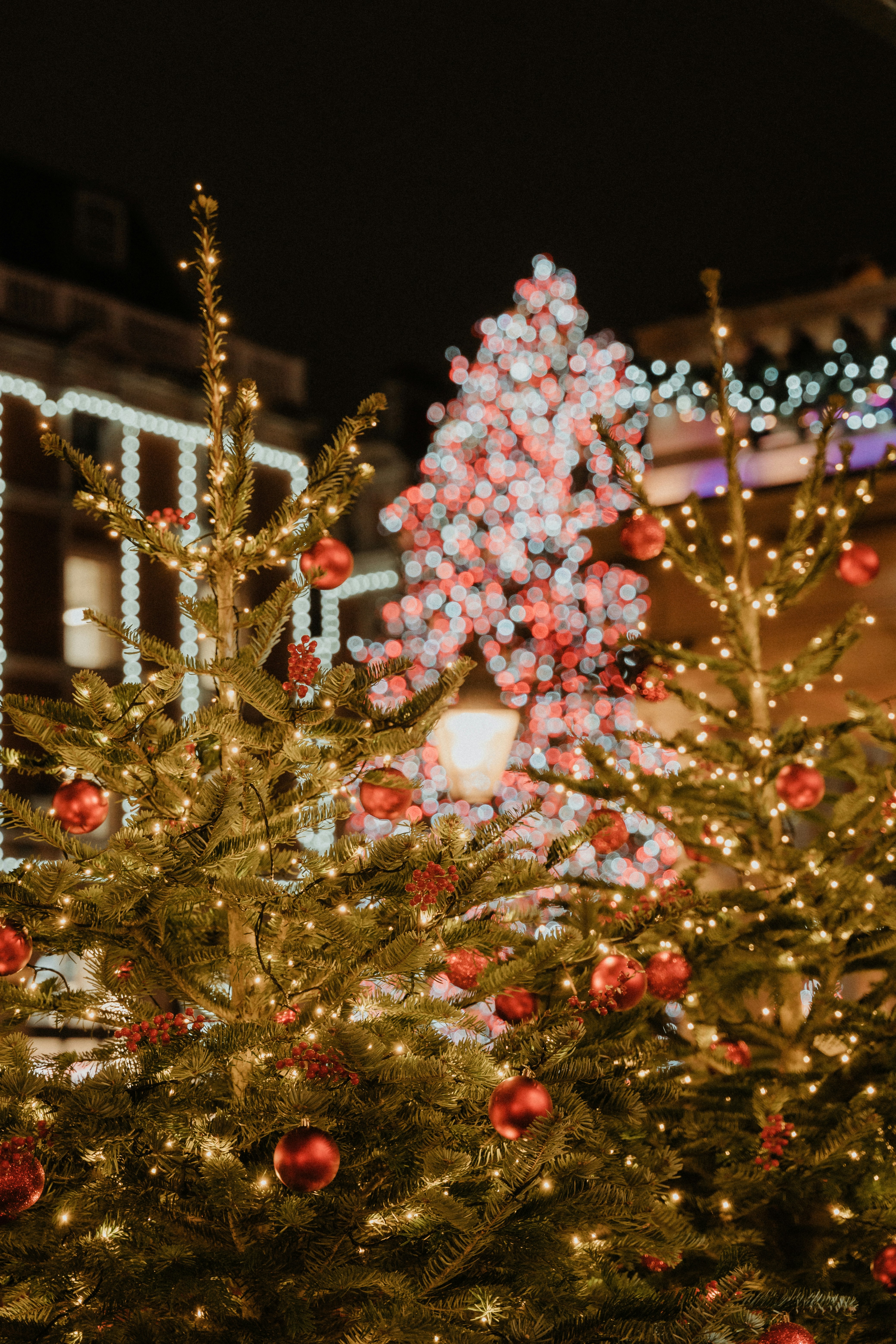 Photo by luiseandnic