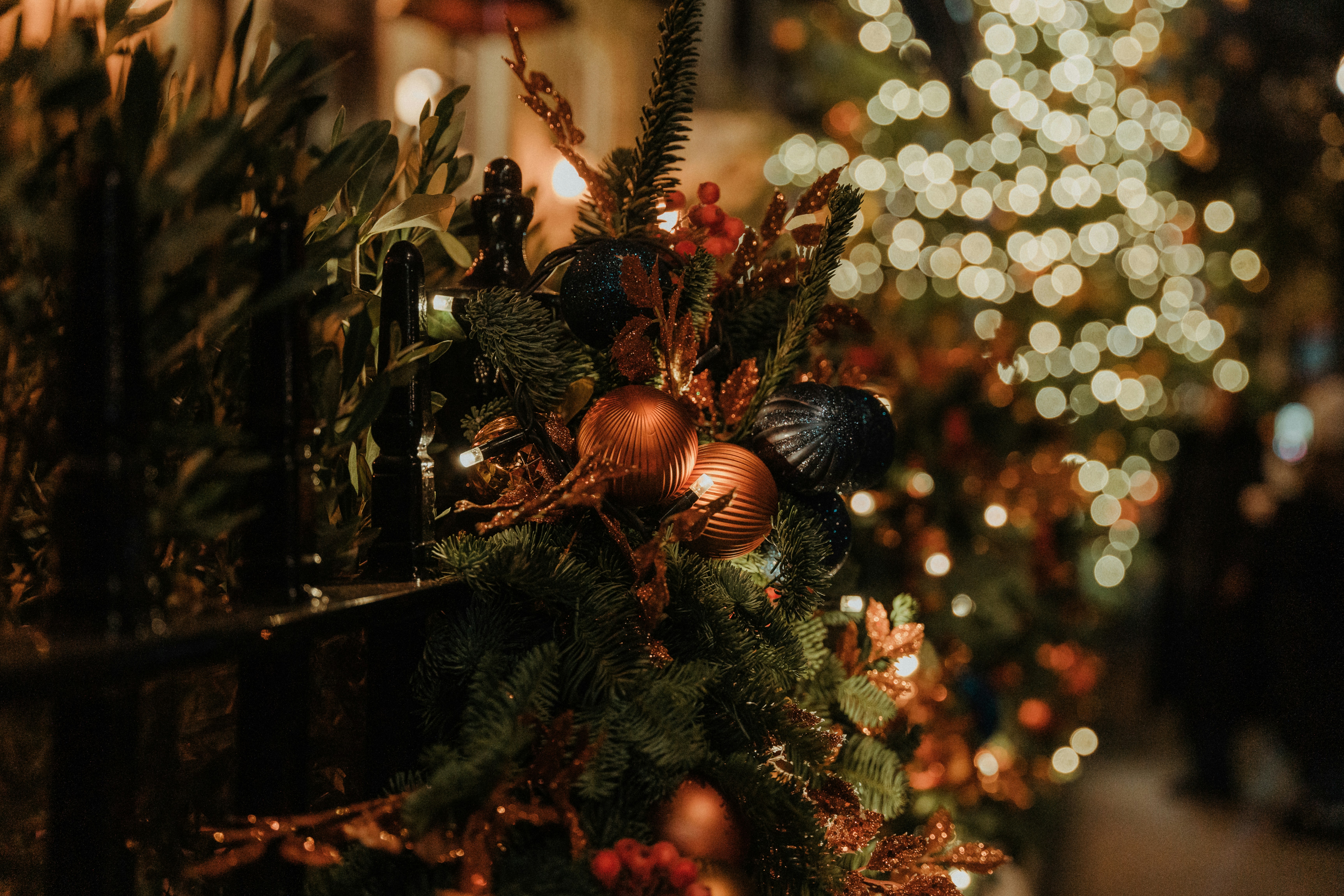 Photo by luiseandnic