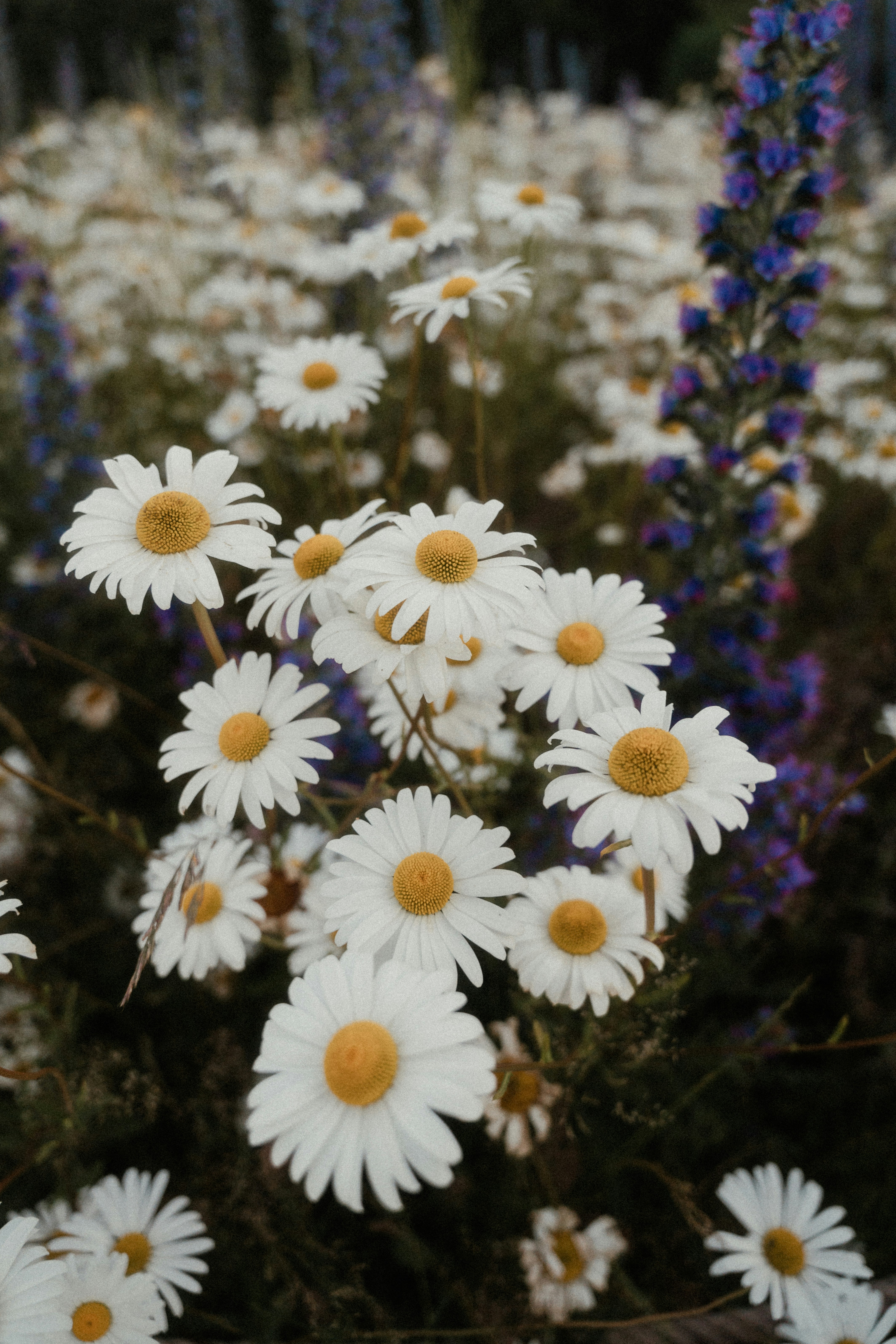 Photo by luiseandnic