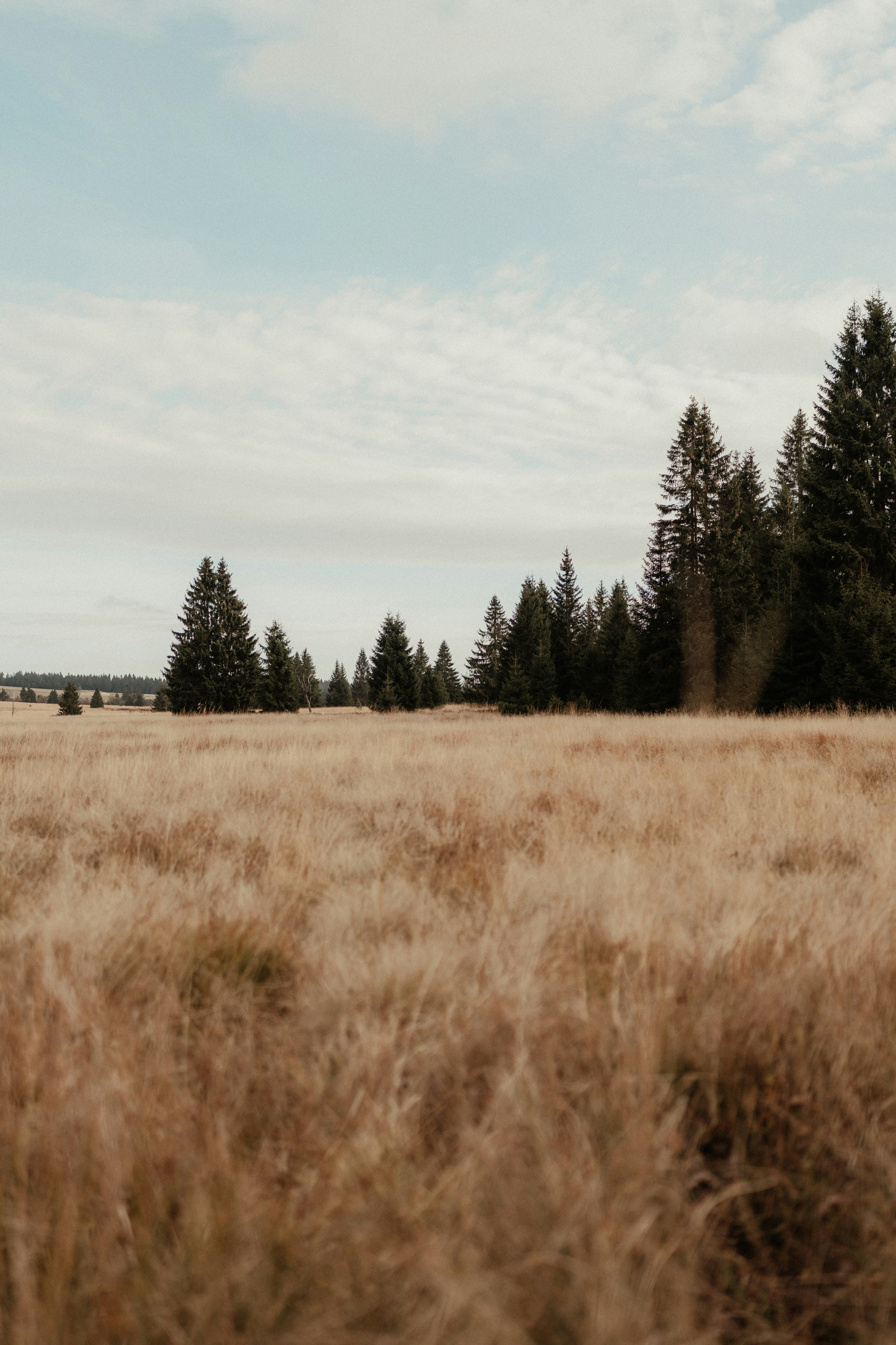 Photo by luiseandnic