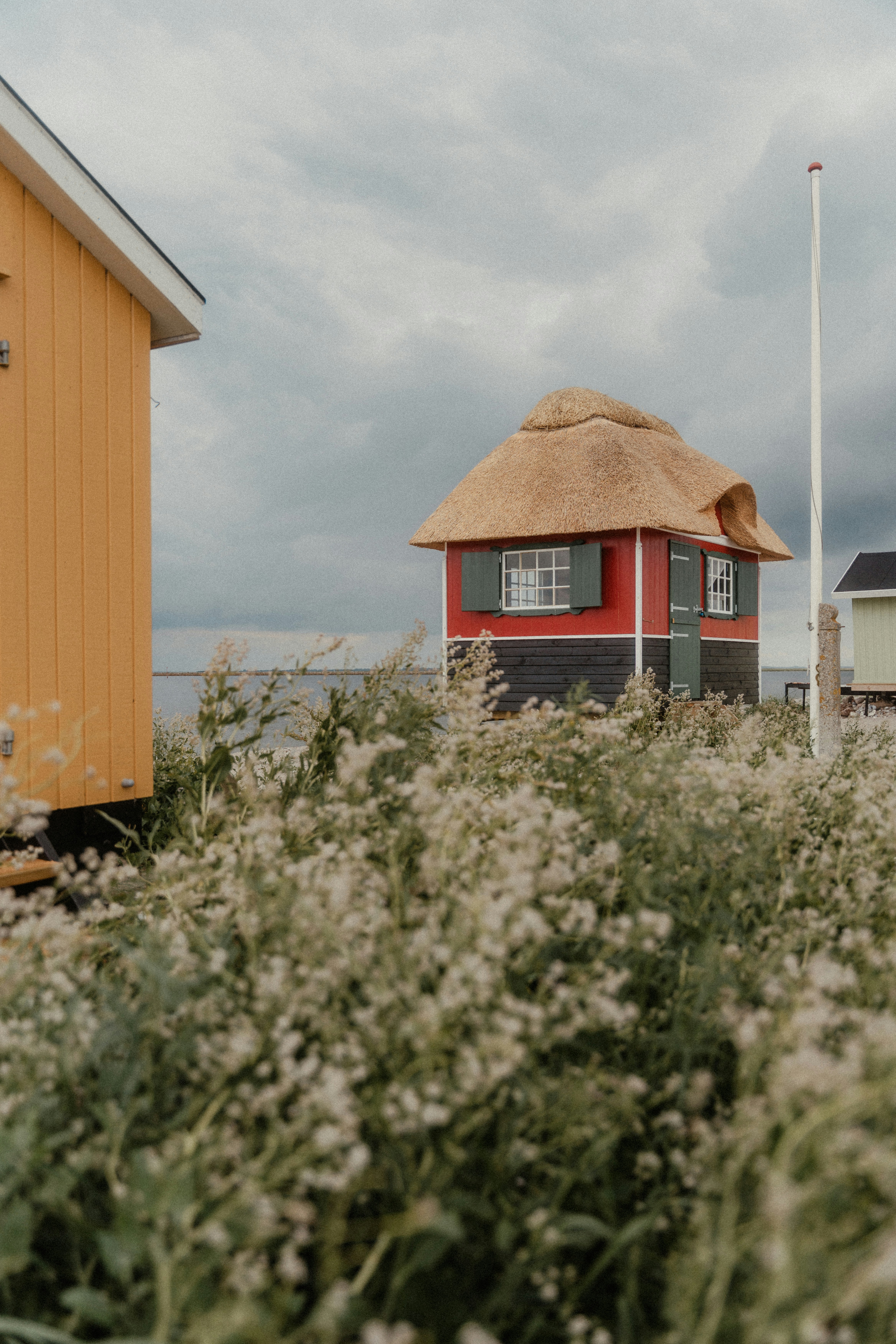 Photo by luiseandnic