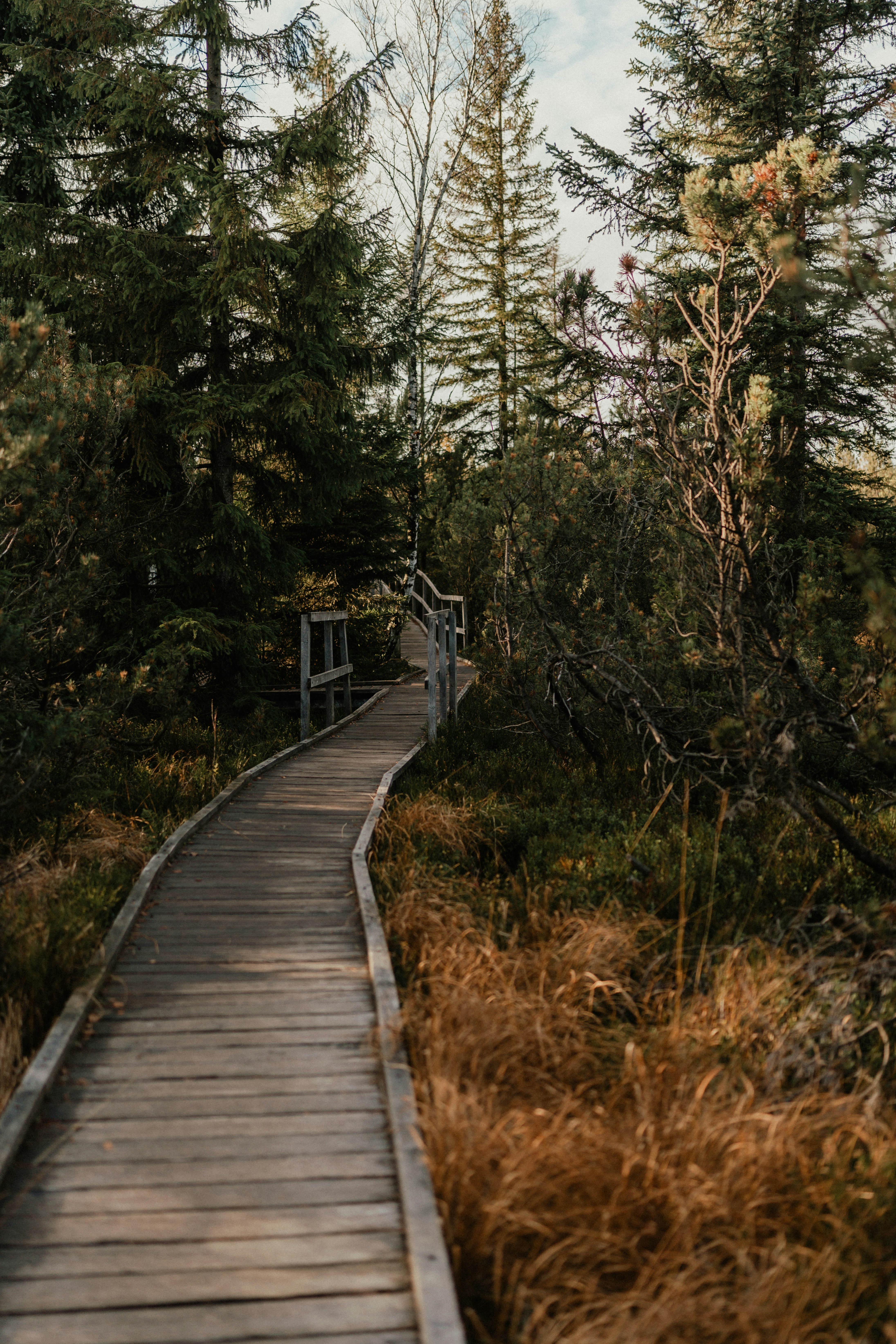 Photo by luiseandnic