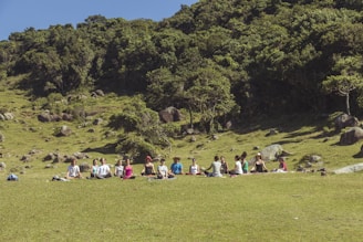 A group of people standing on top of a lush green hillside