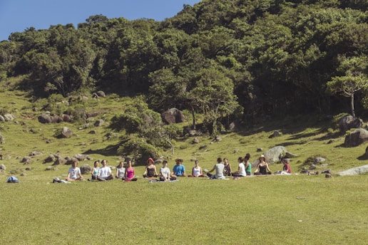 A group of people standing on top of a lush green hillside