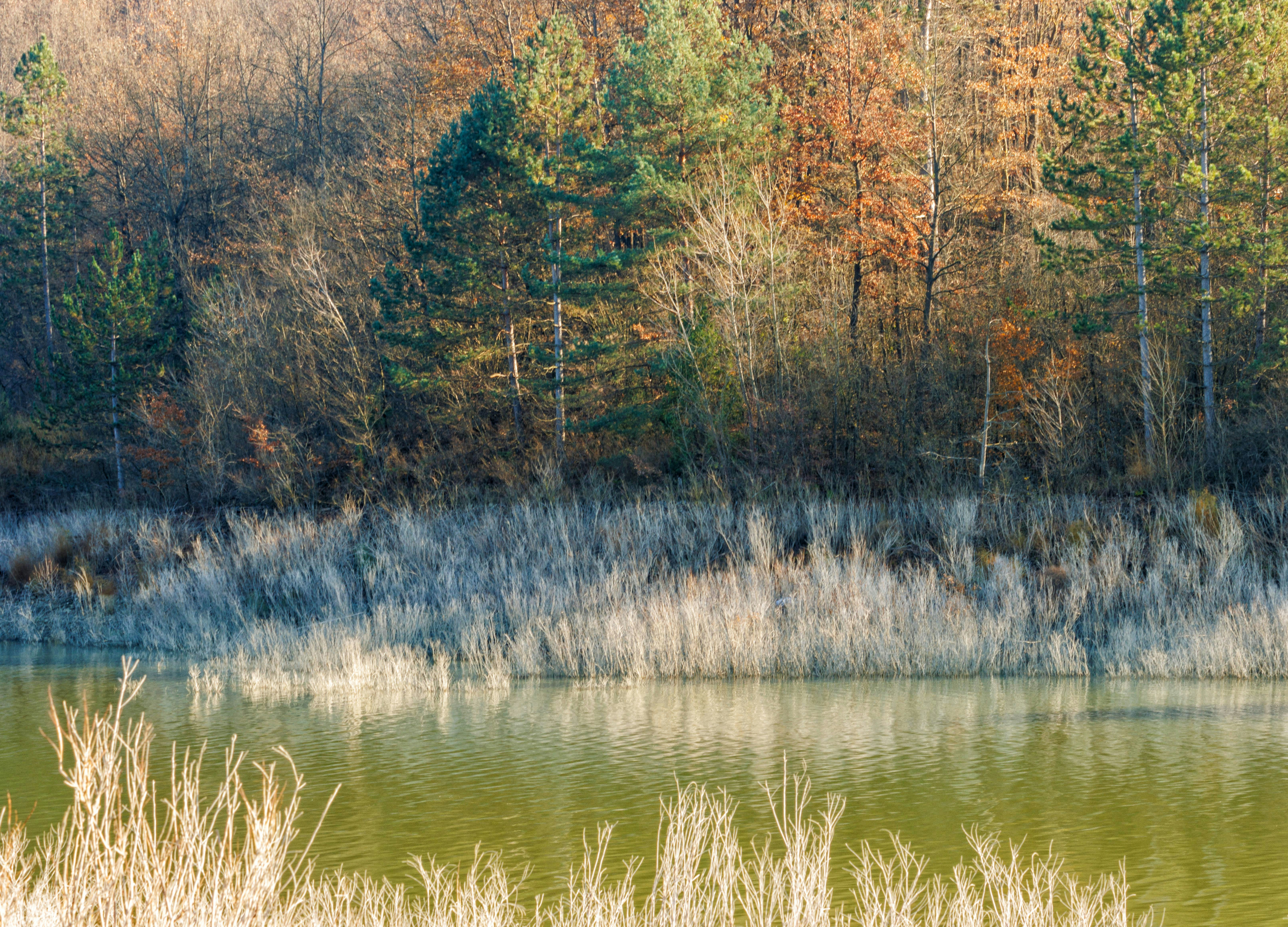 Photo by andreaskyrider