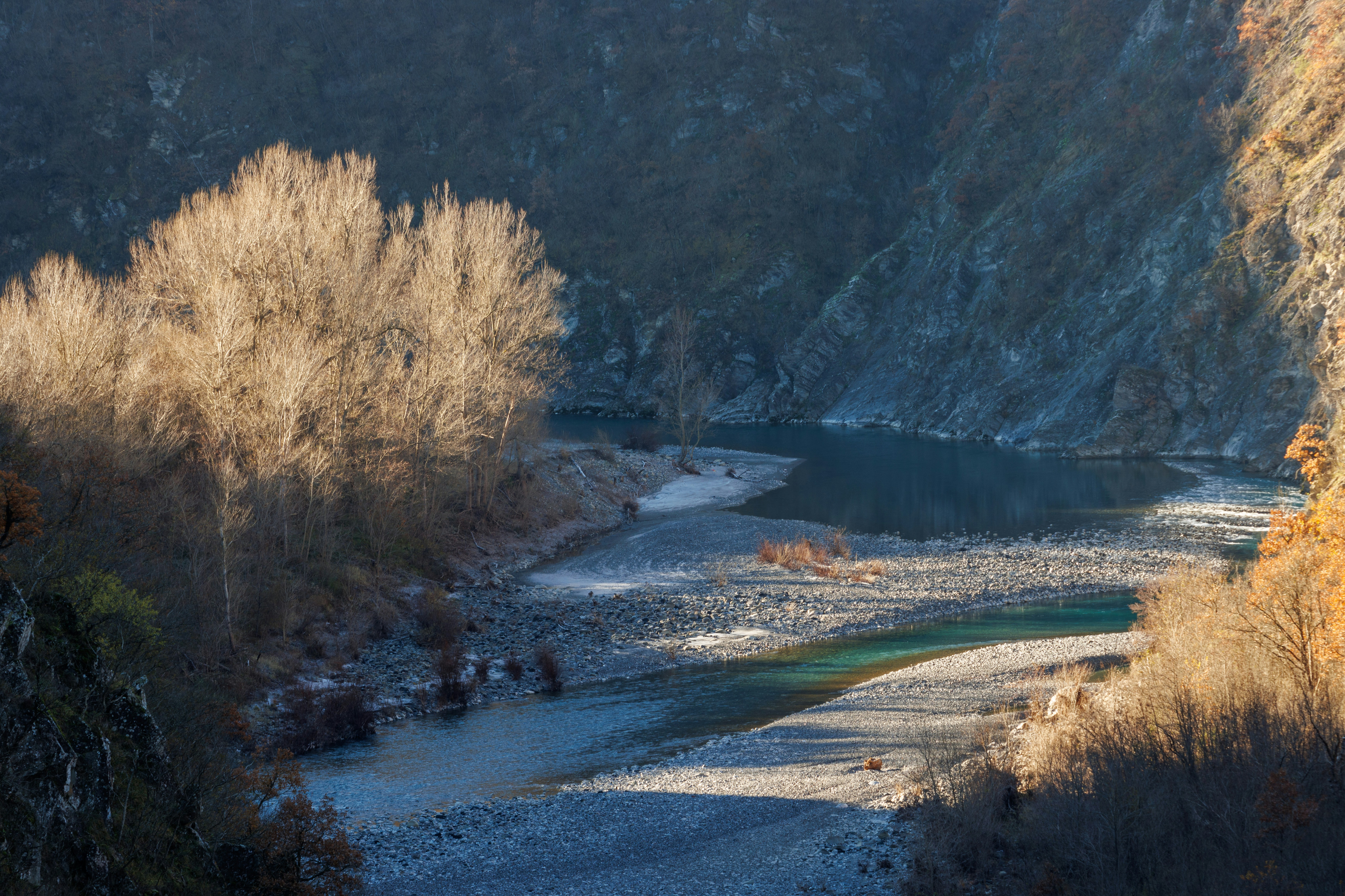 Un fiume che scorre attraverso una foresta verde e lussureggiante