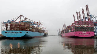 Two pink and blue ships are docked in the water