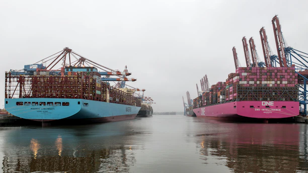 Two pink and blue ships are docked in the water