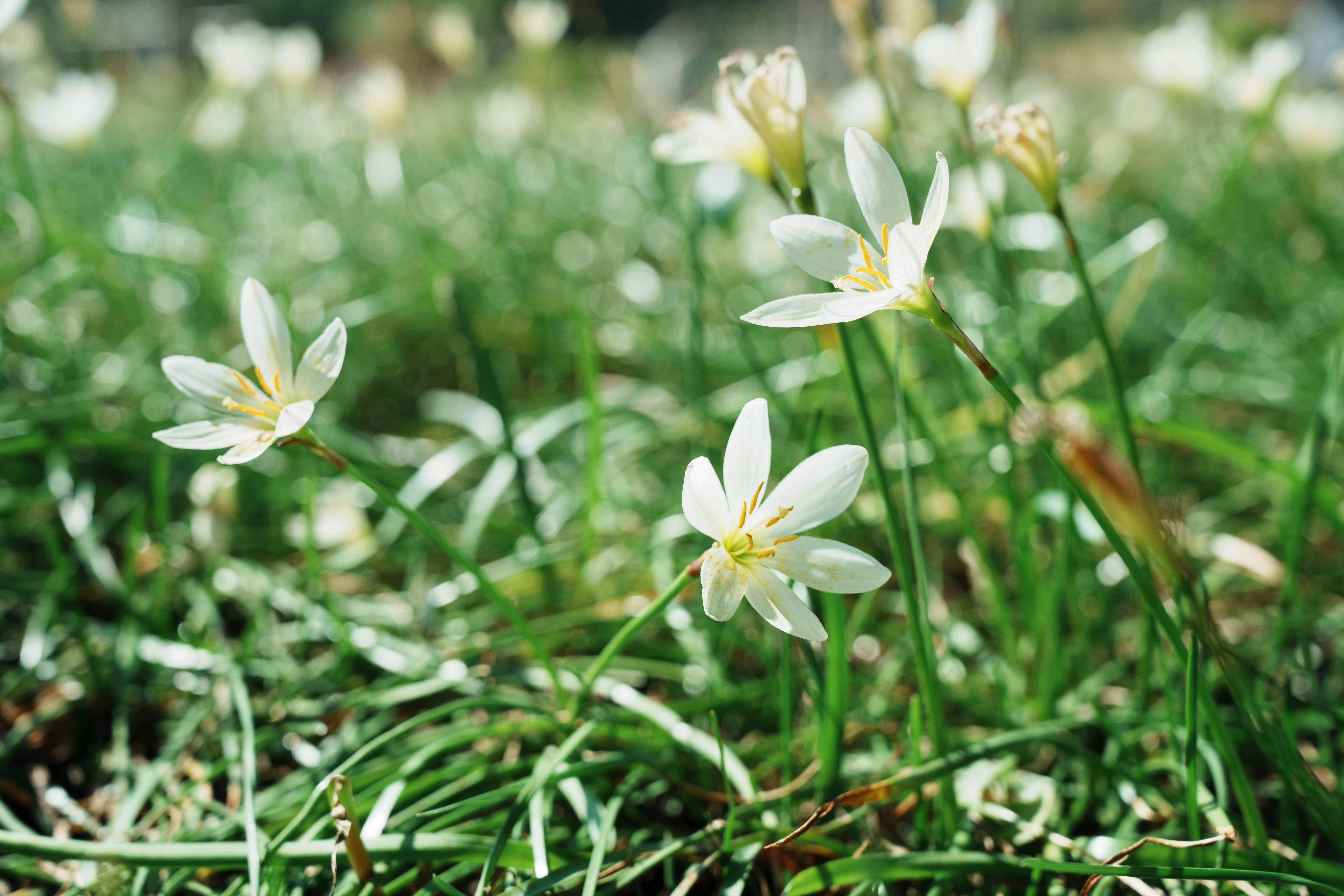 Photo by toxicsmoker