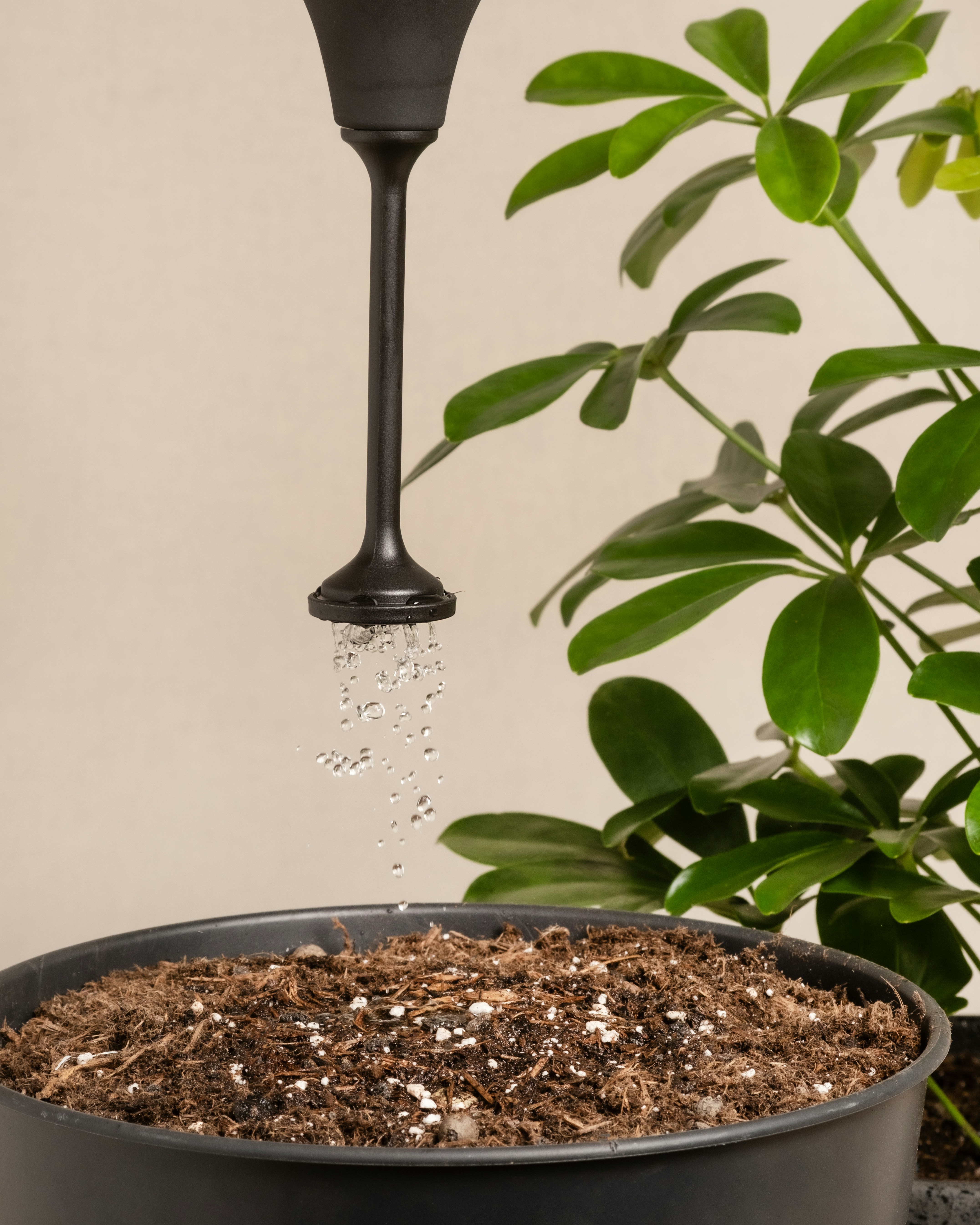 A potted plant with water coming out of it